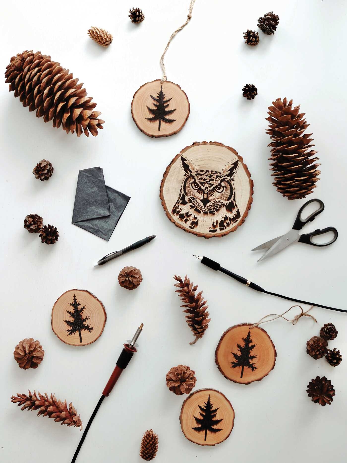 Woodburning Workshop