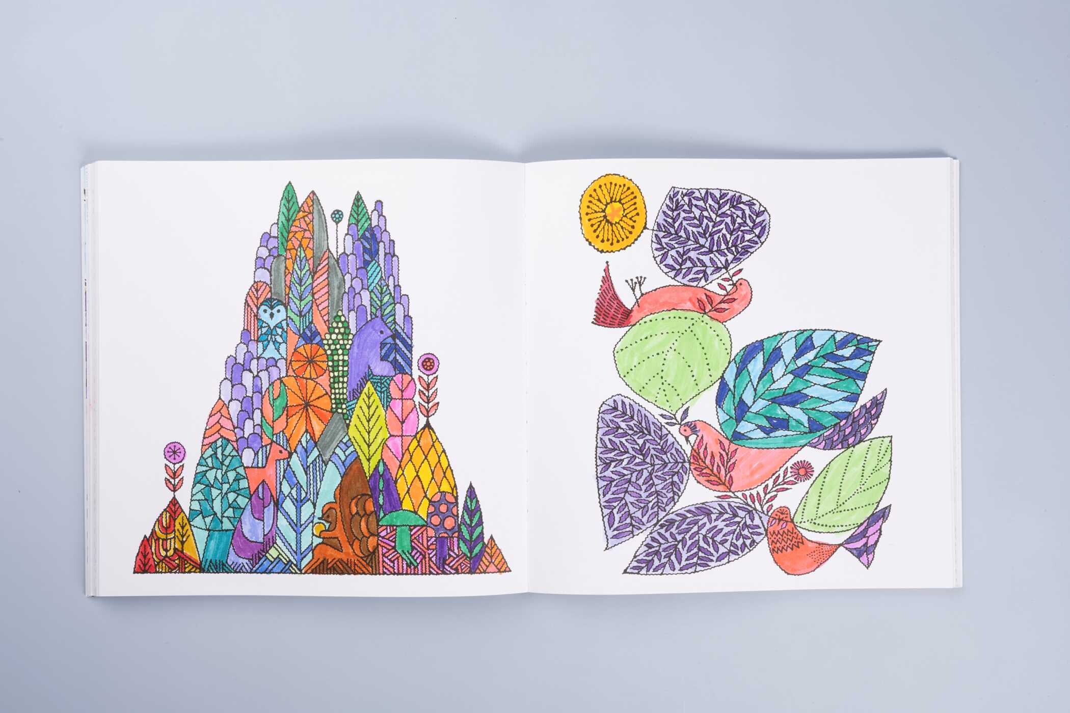 Woodland Kingdom Coloring Book