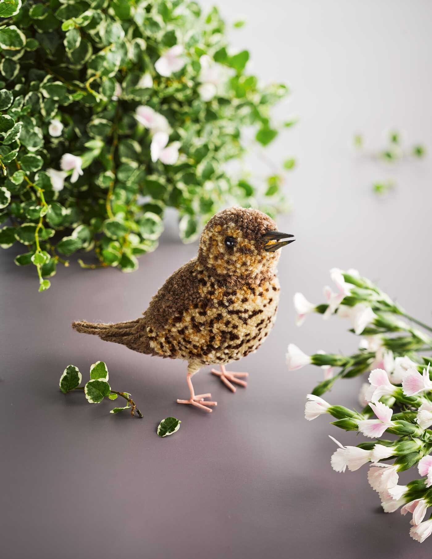 Pom-Pom Birds