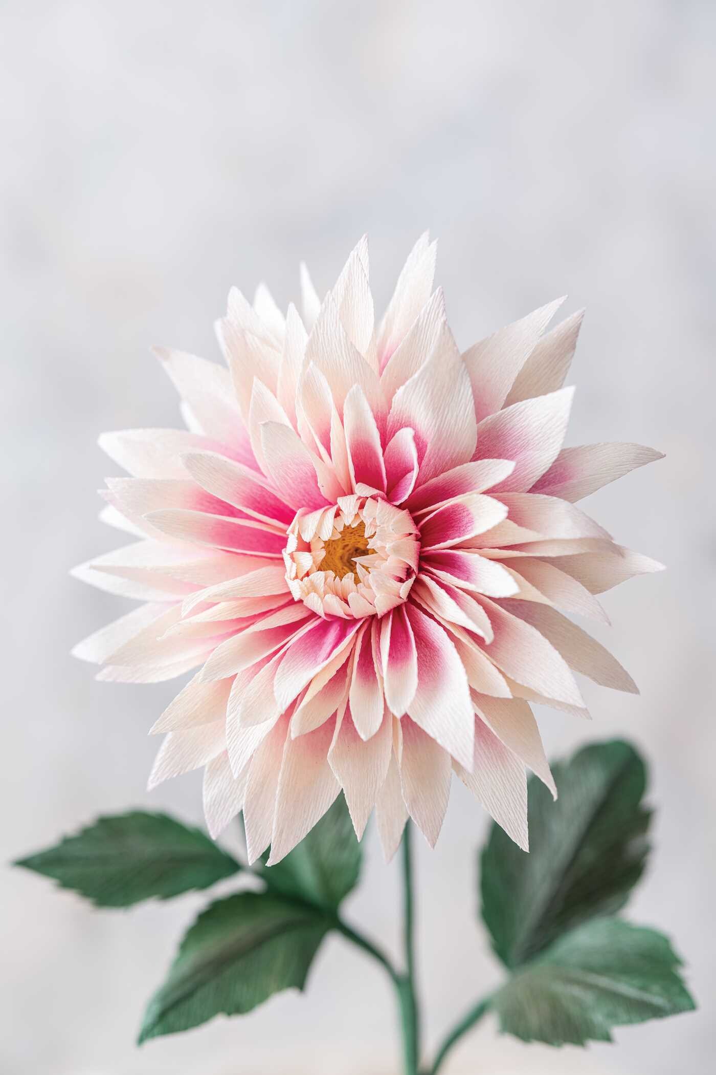 Crafting Paper Flowers