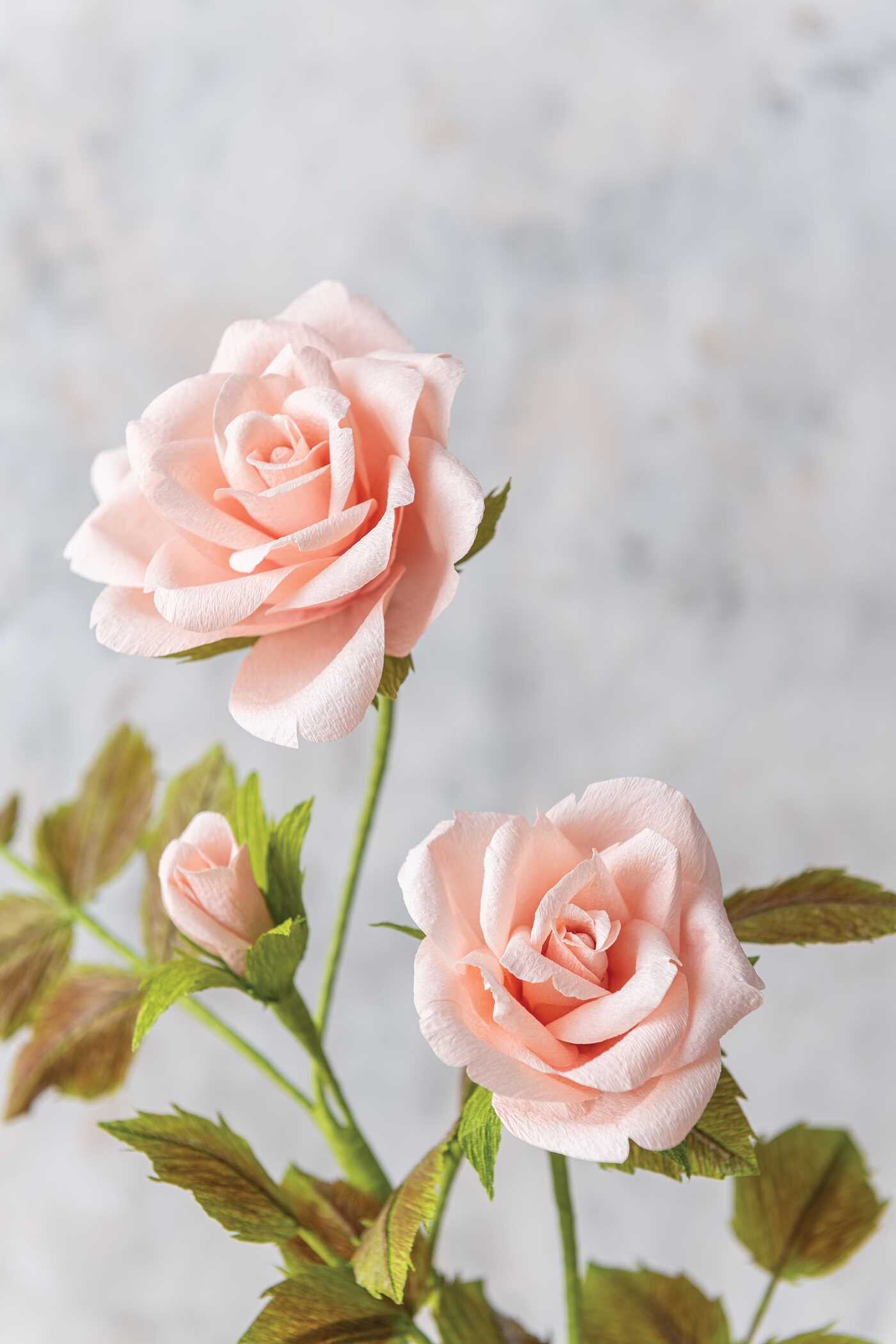 Crafting Paper Flowers