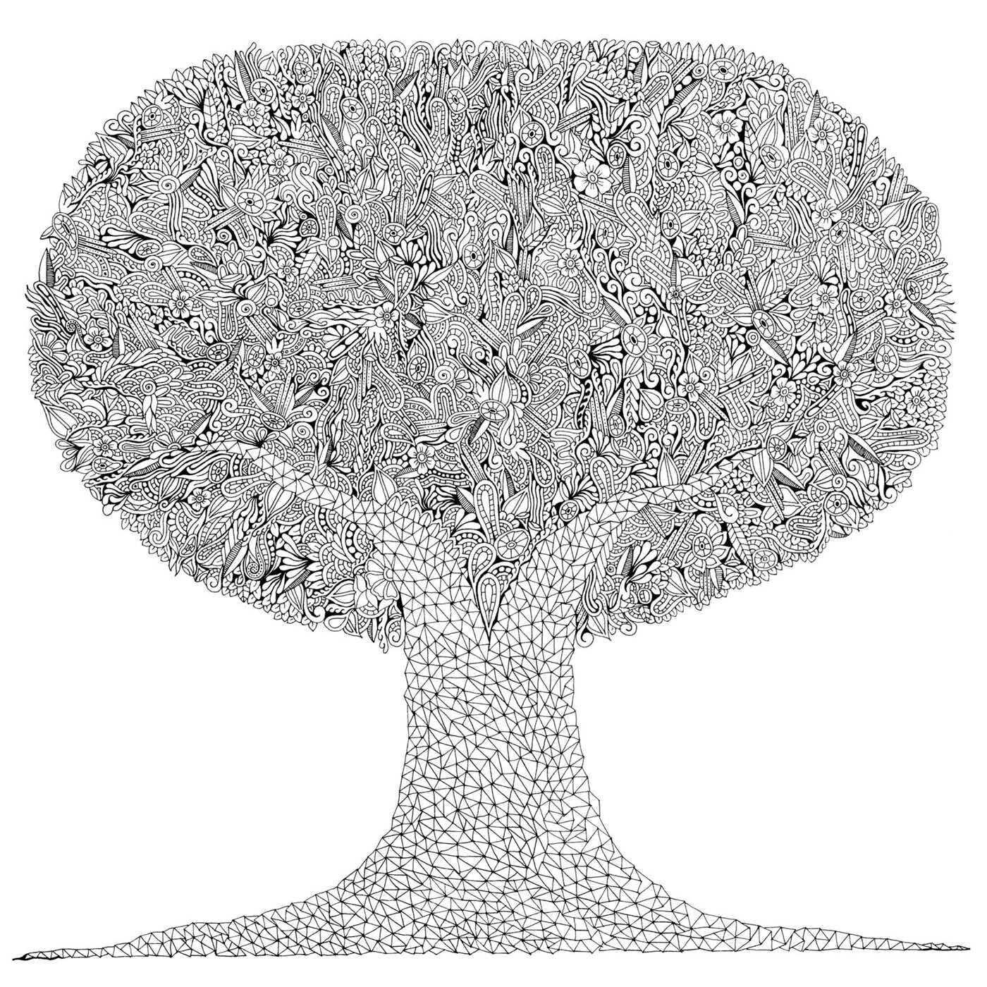 Enchanted Grove Mandala Coloring Book