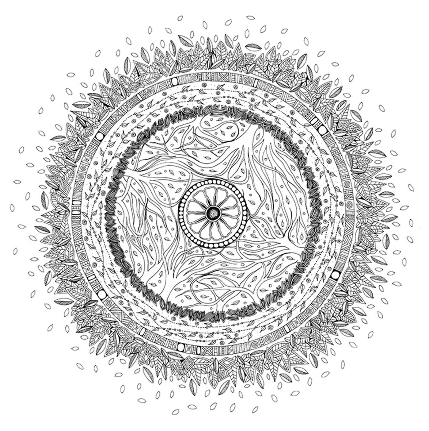 Enchanted Grove Mandala Coloring Book