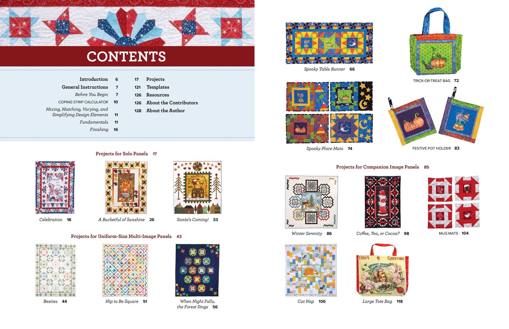 Quilt Panel Magic