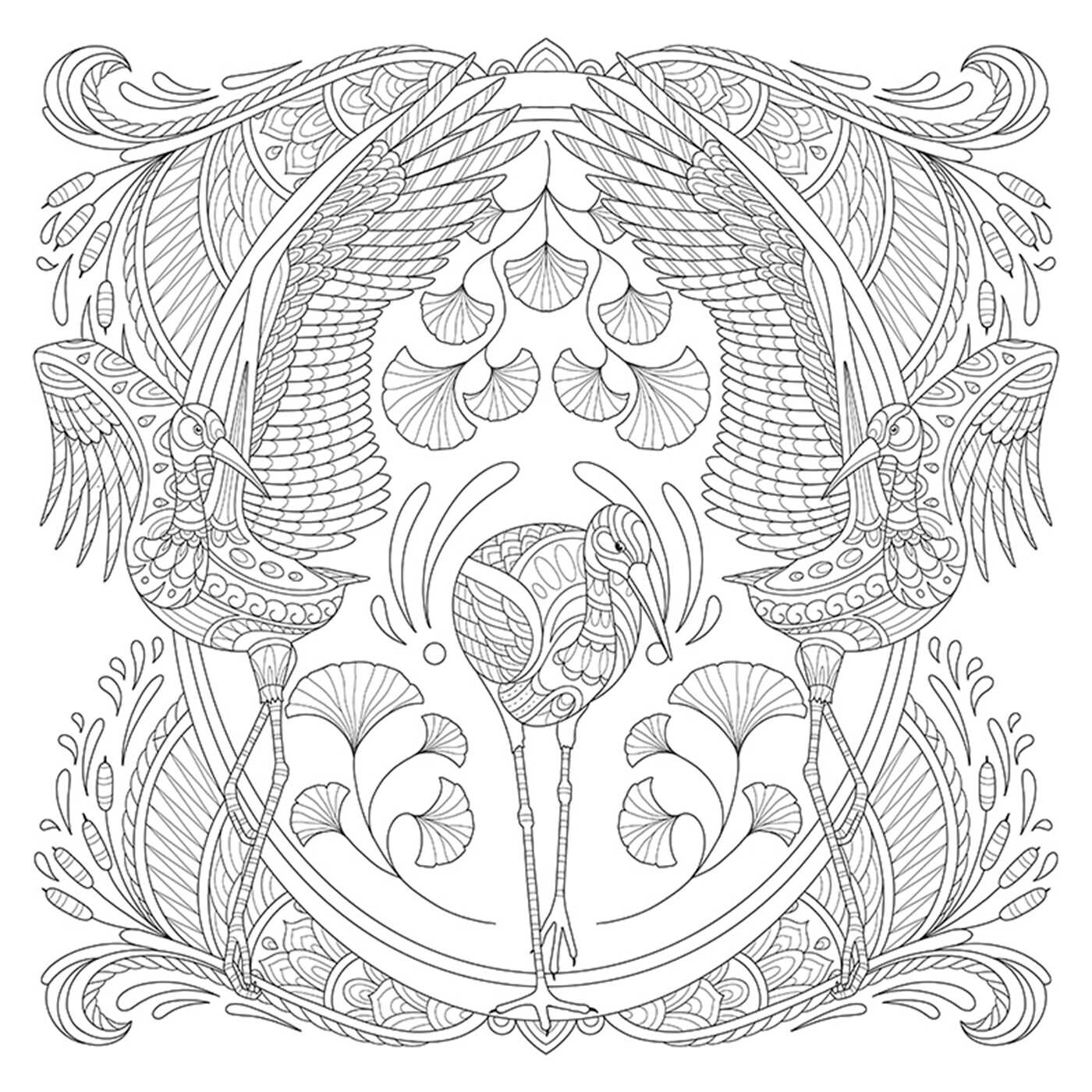 My Bird Mandala Coloring Book