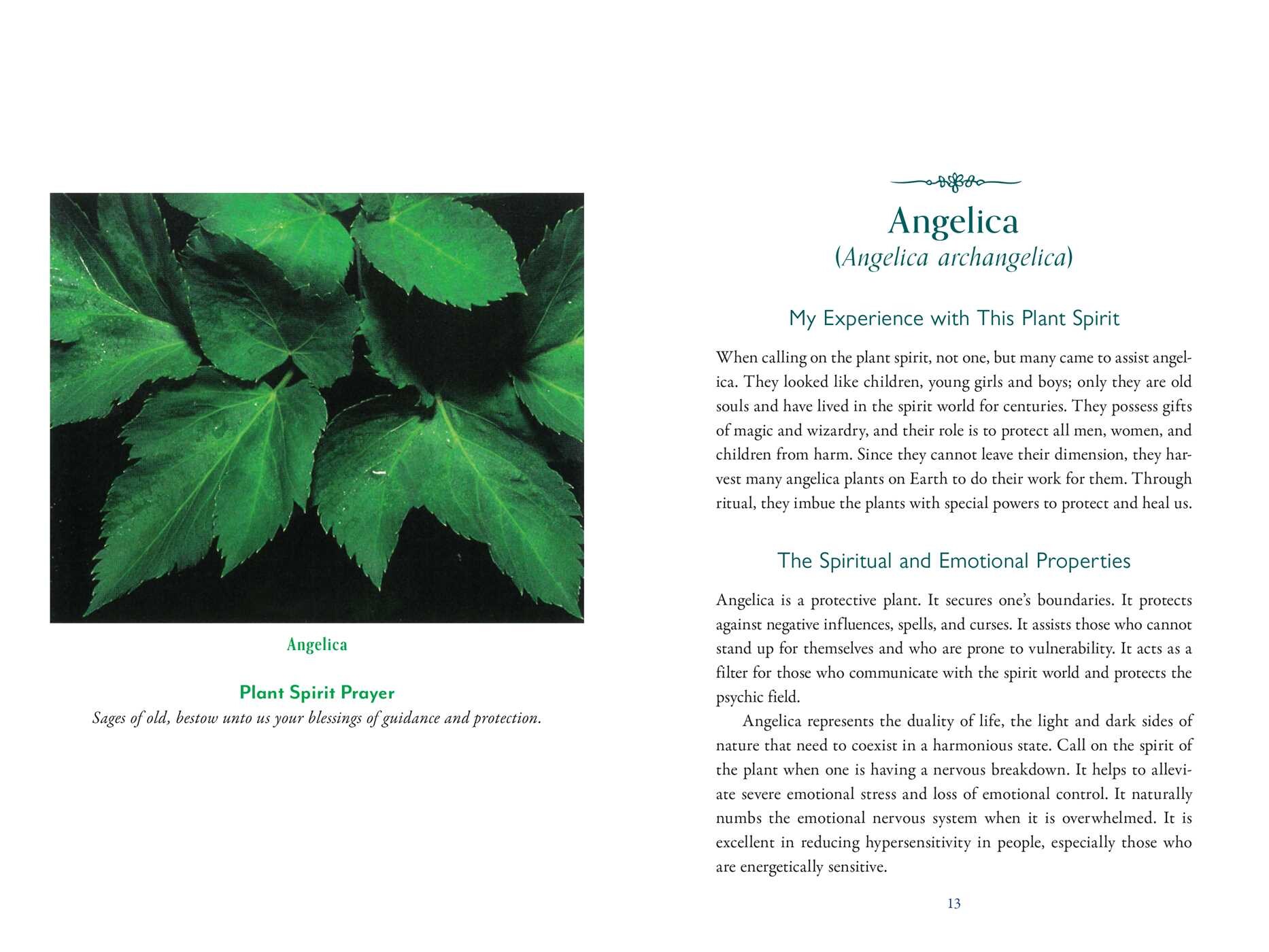Divine Nature of Plants