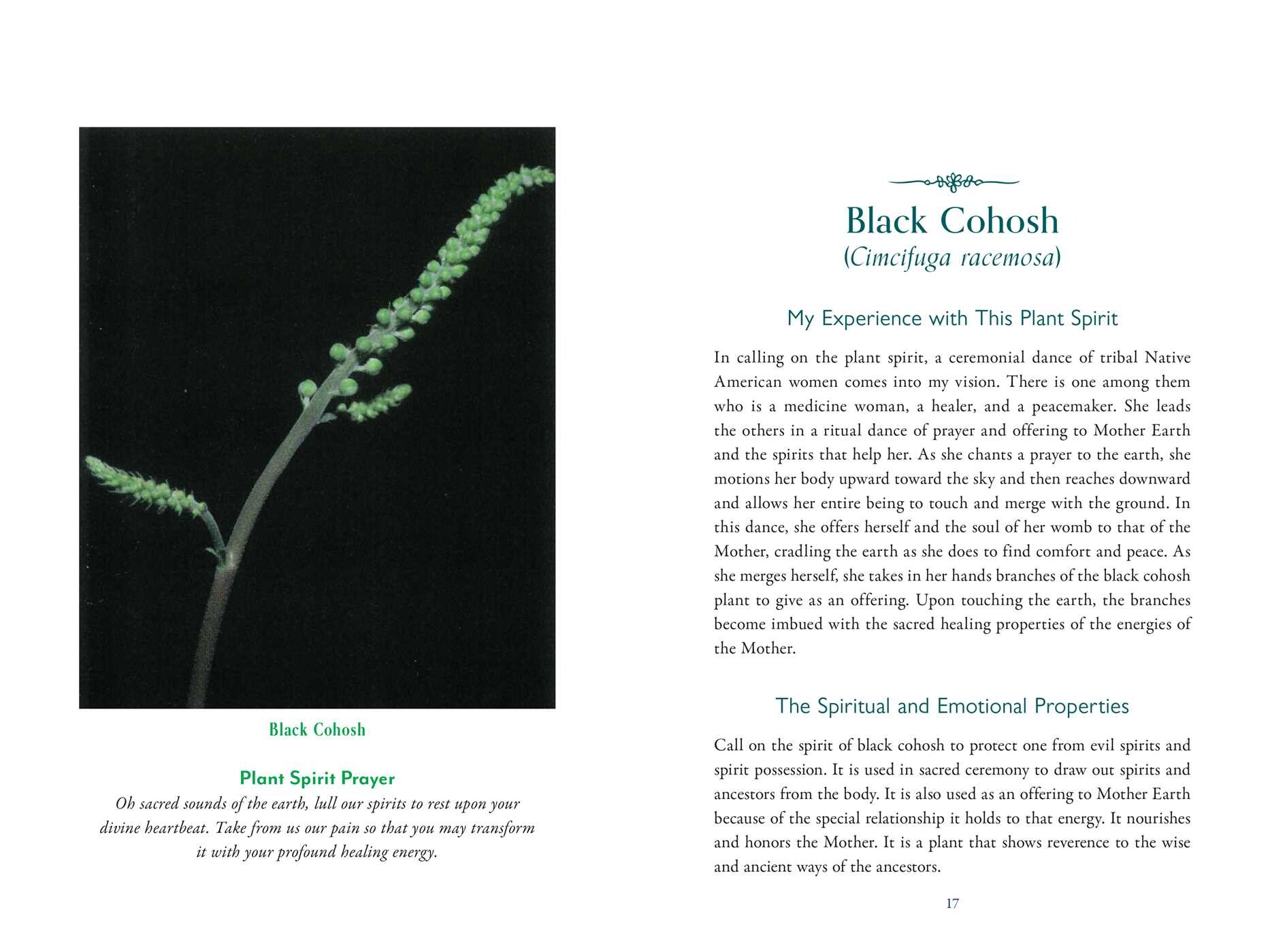 Divine Nature of Plants