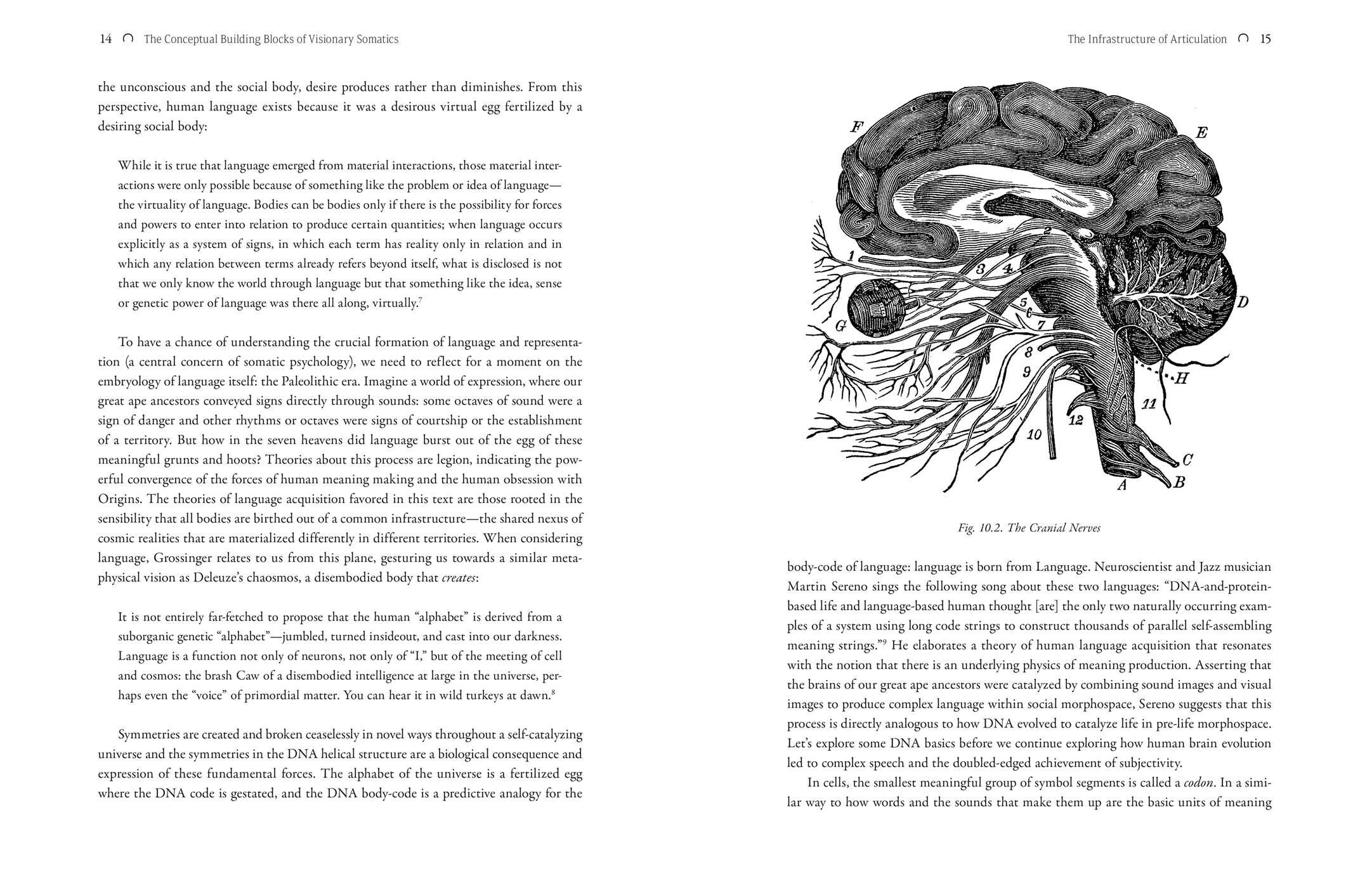 Visionary Somatics