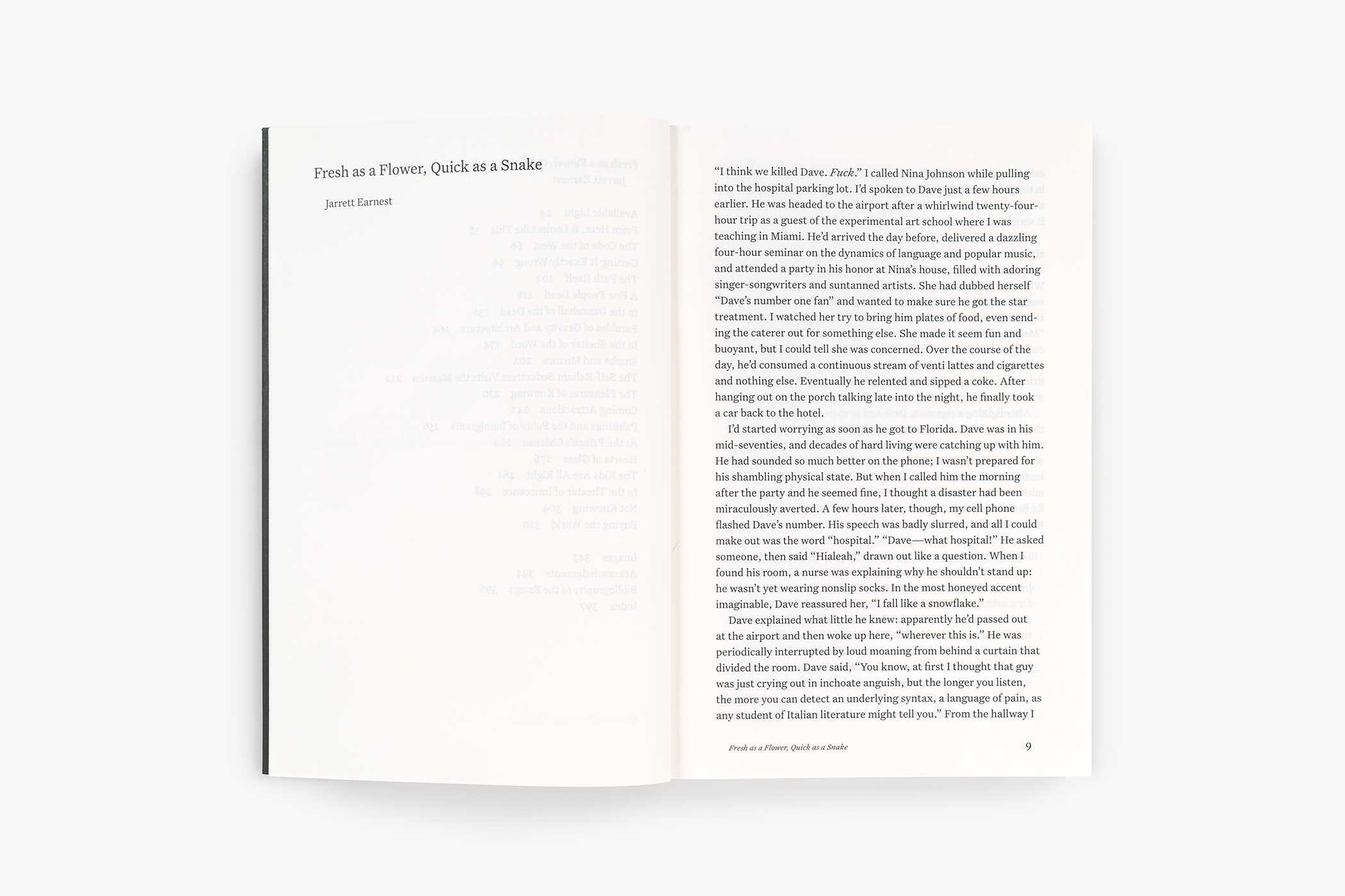 Feint of Heart: Art Writings