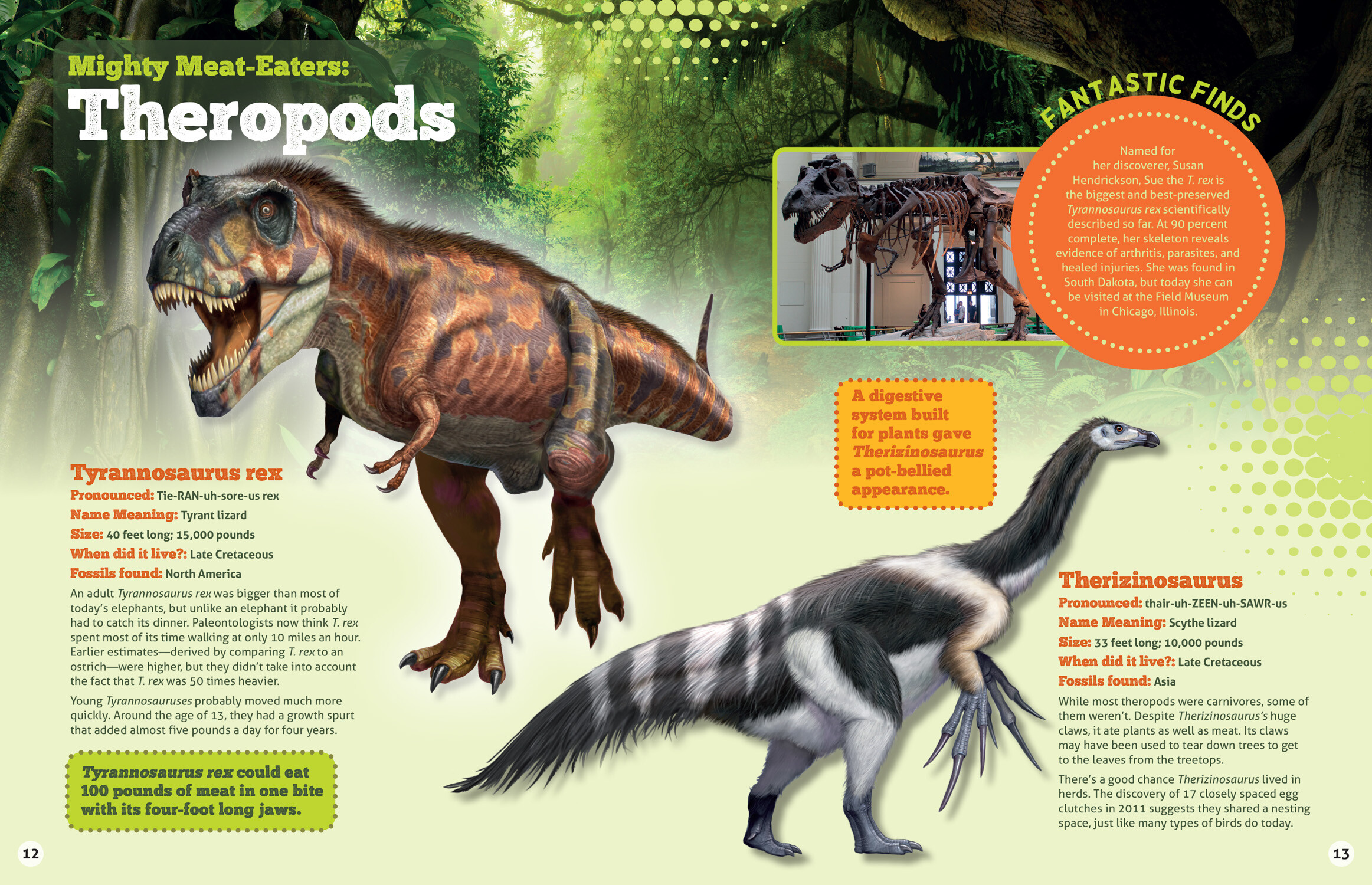 Learning Adventures: Dinosaurs