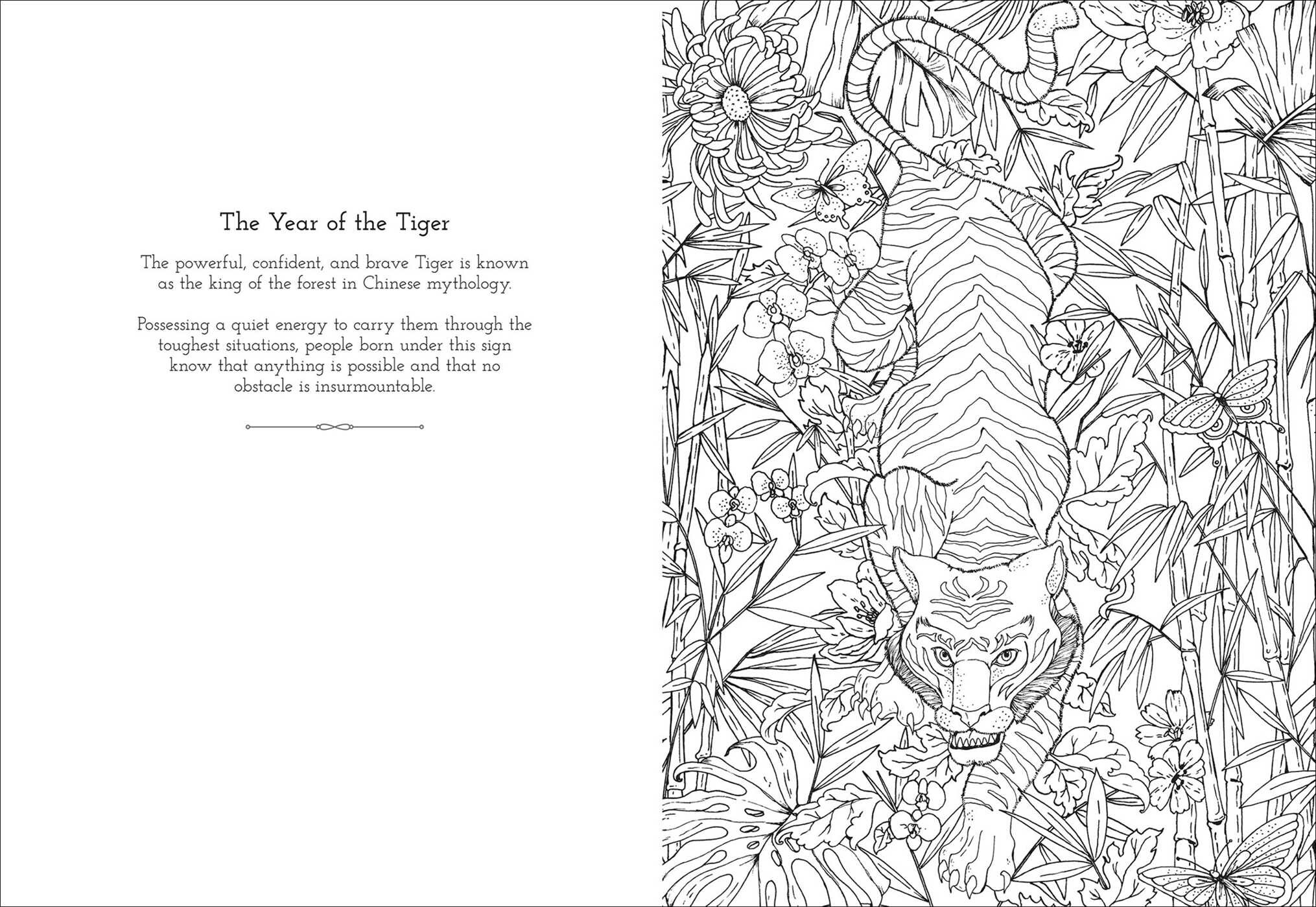 Astrology Coloring