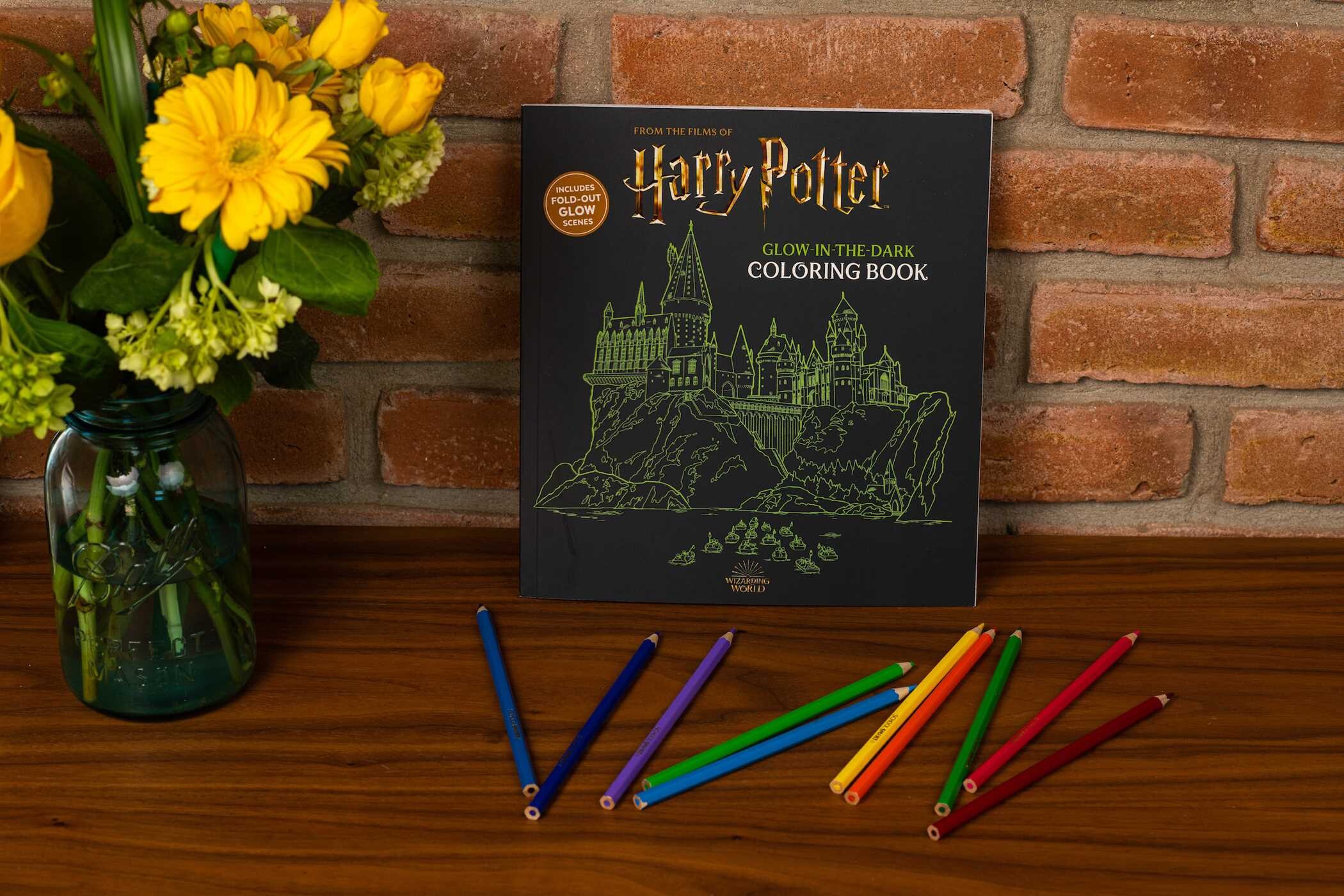 Harry Potter Glow-in-the-Dark Coloring Book