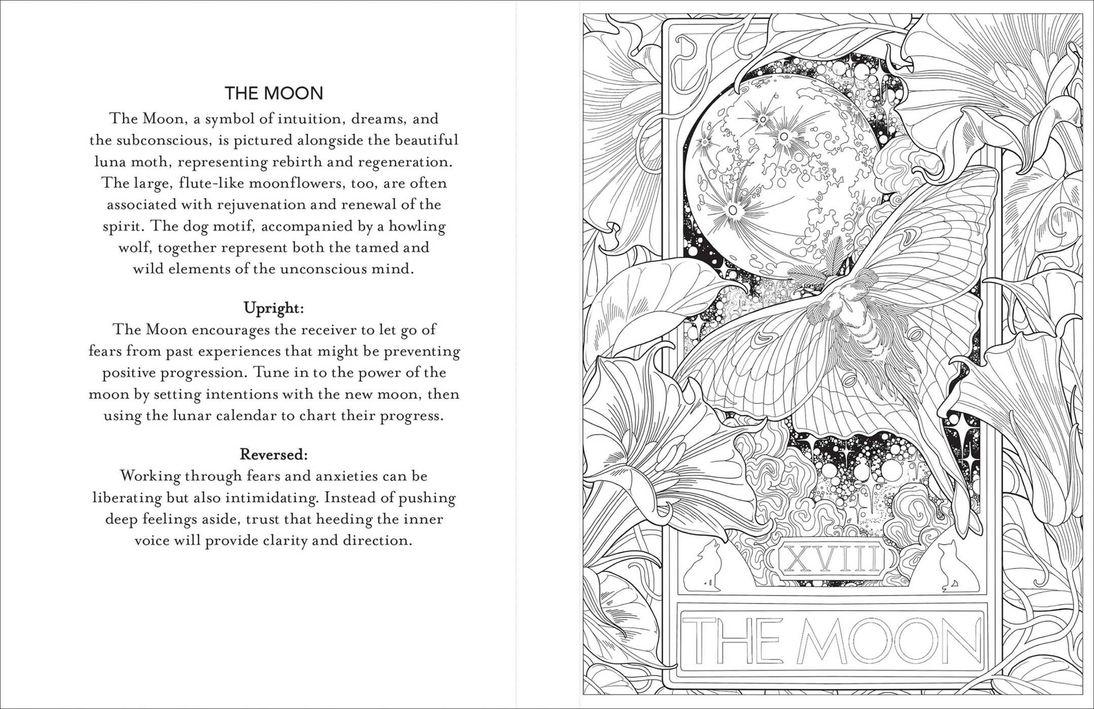 Tarot Coloring