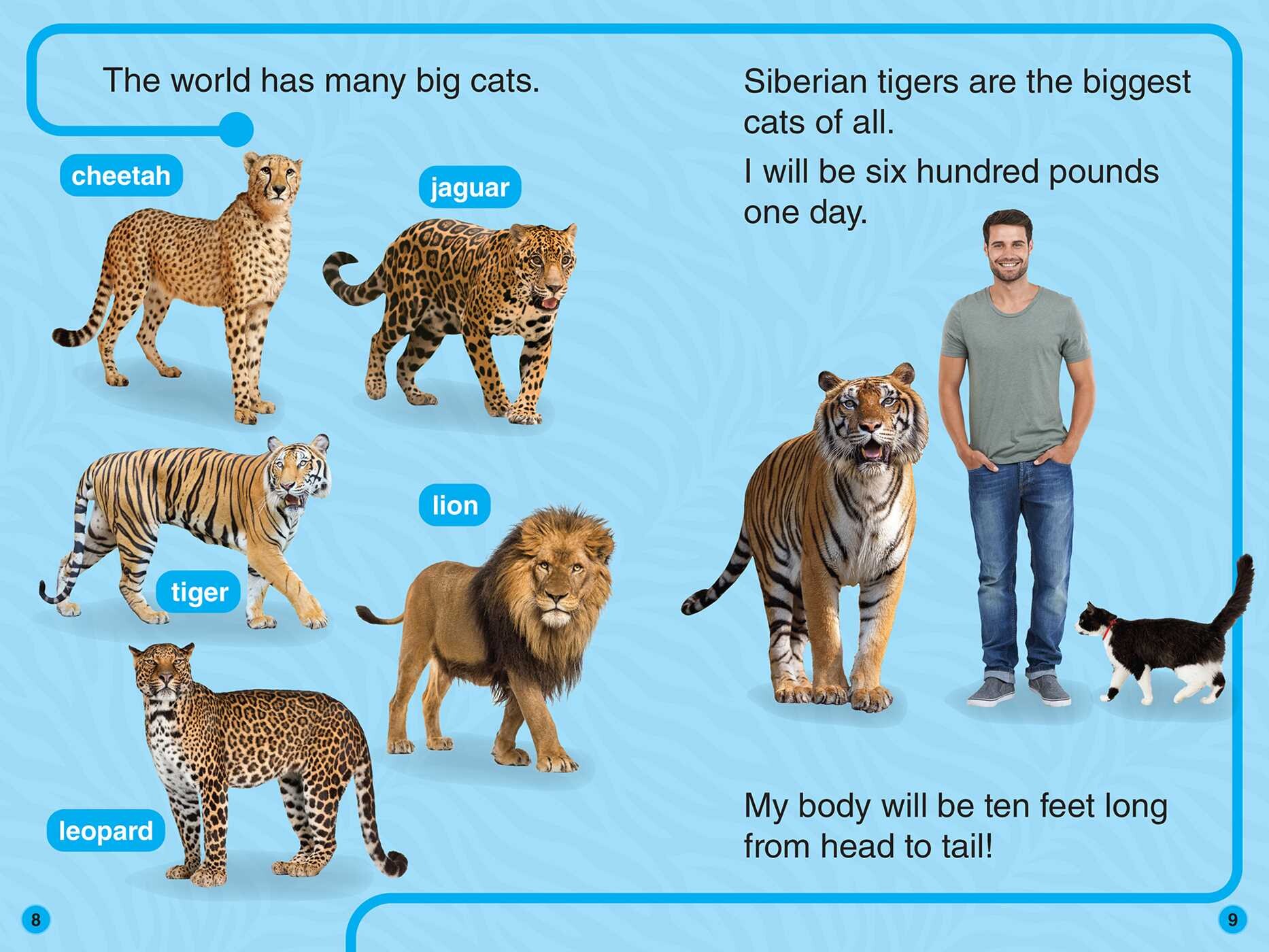 Discovery Leveled Readers: I Am a... Level 1, Level 2