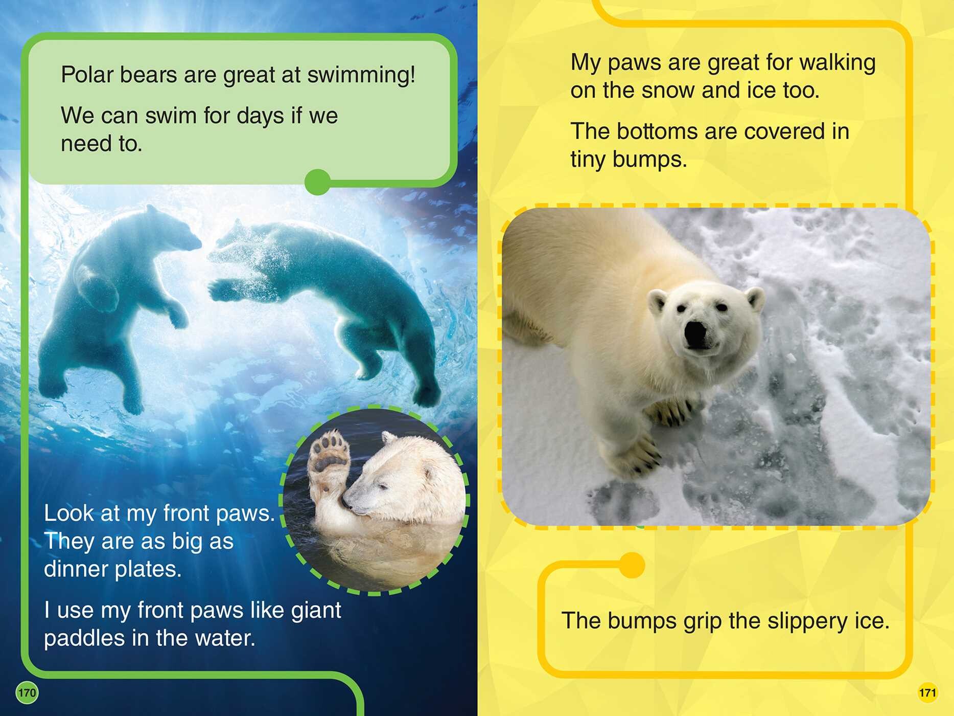 Discovery Leveled Readers: I Am a... Level 1, Level 2