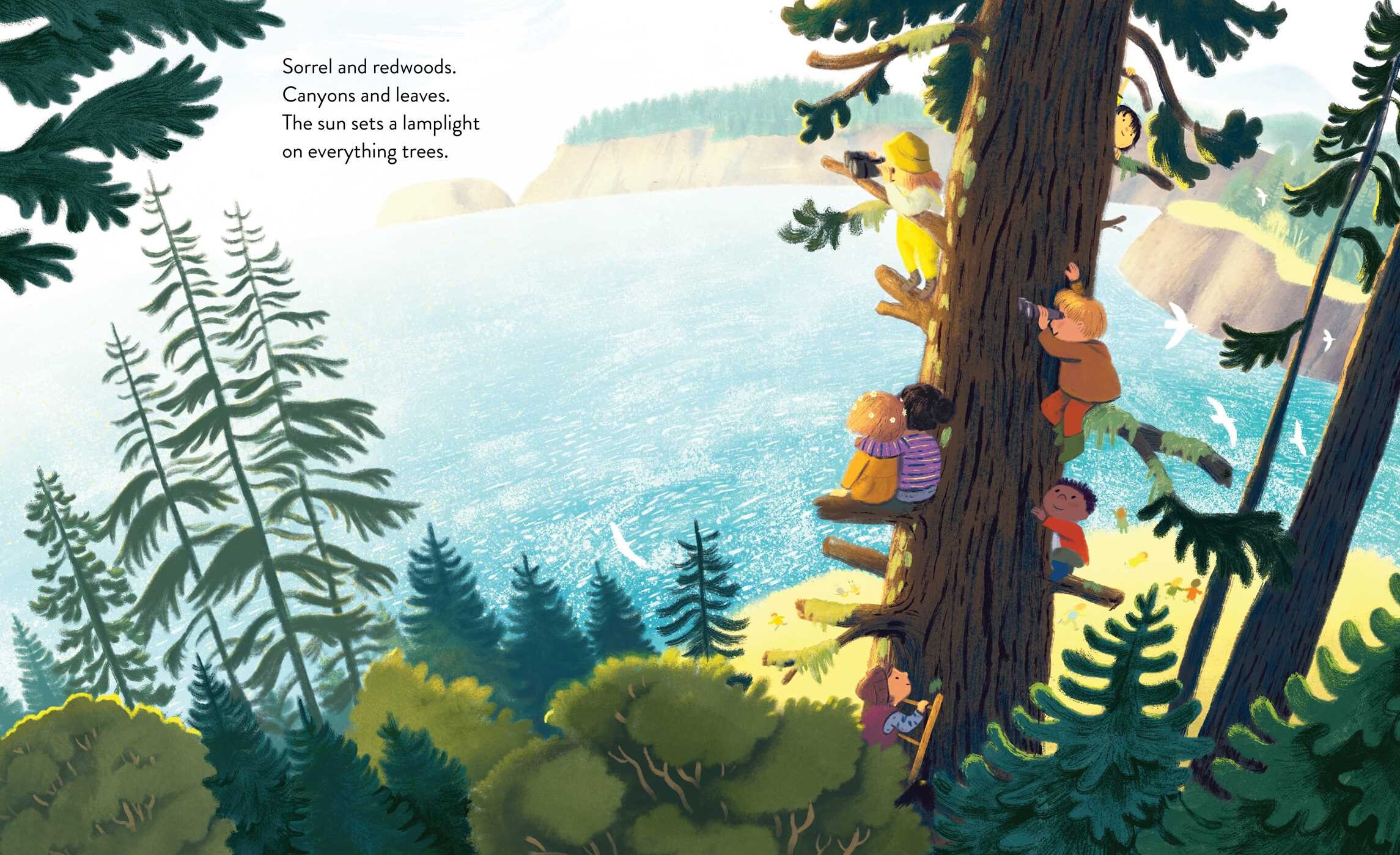Everything Trail