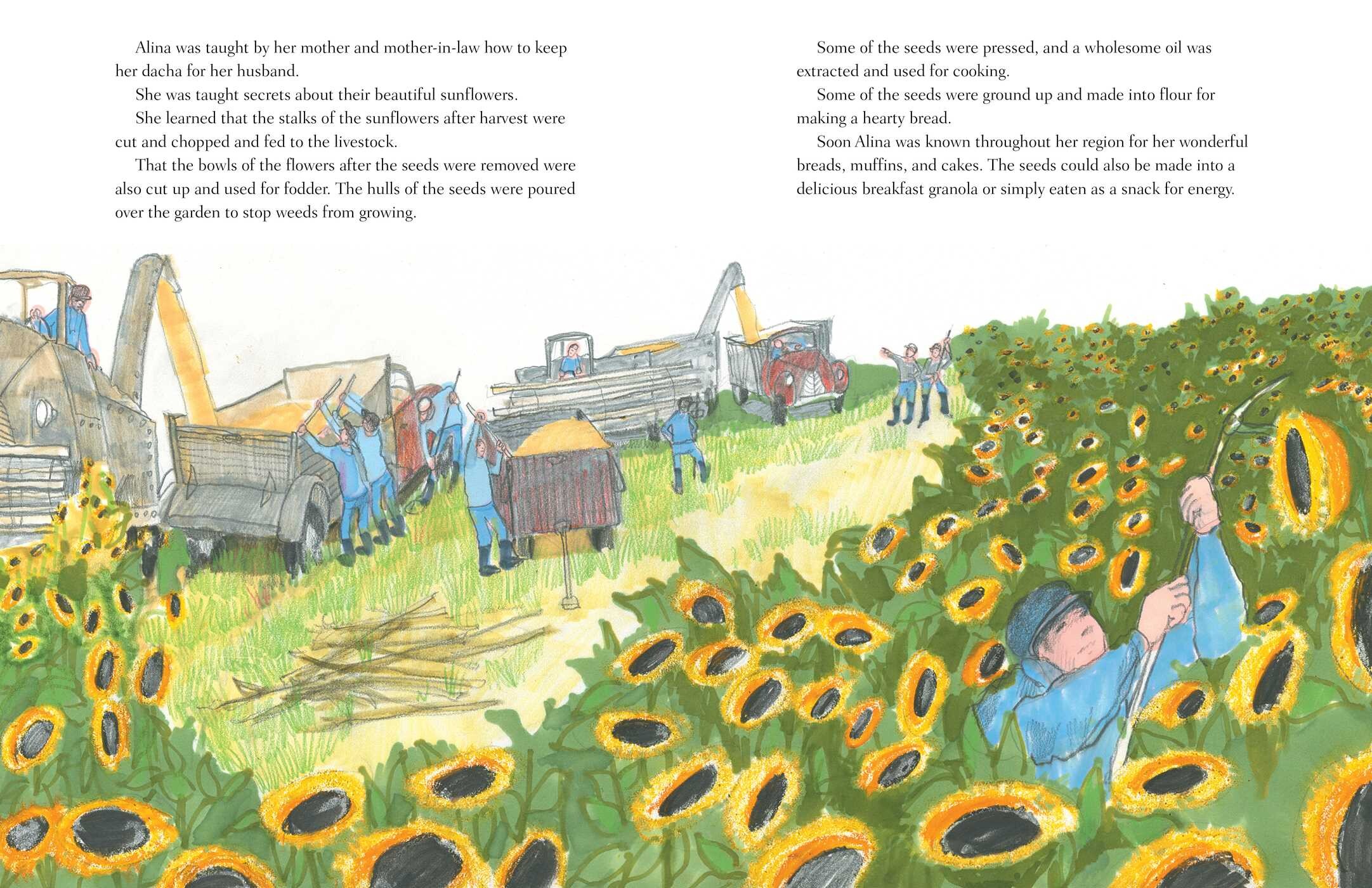 Sea of Gold