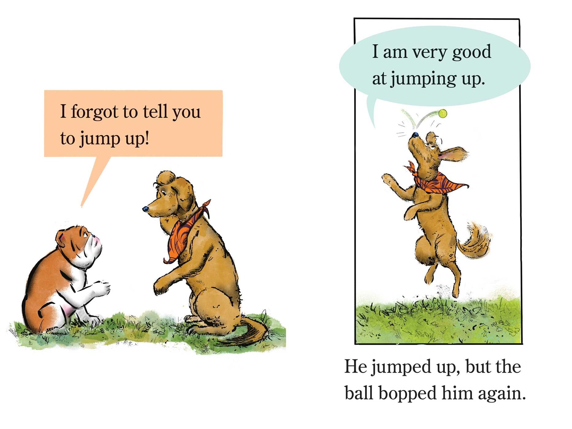 Elvis & Romeo Go to Dog School