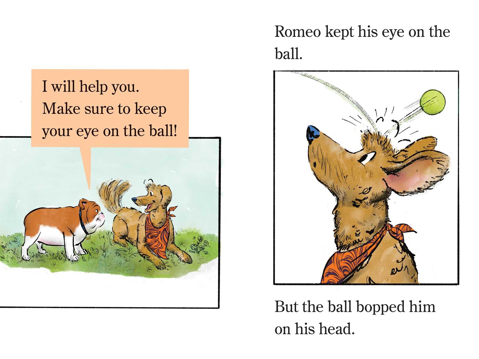 Elvis & Romeo Go to Dog School