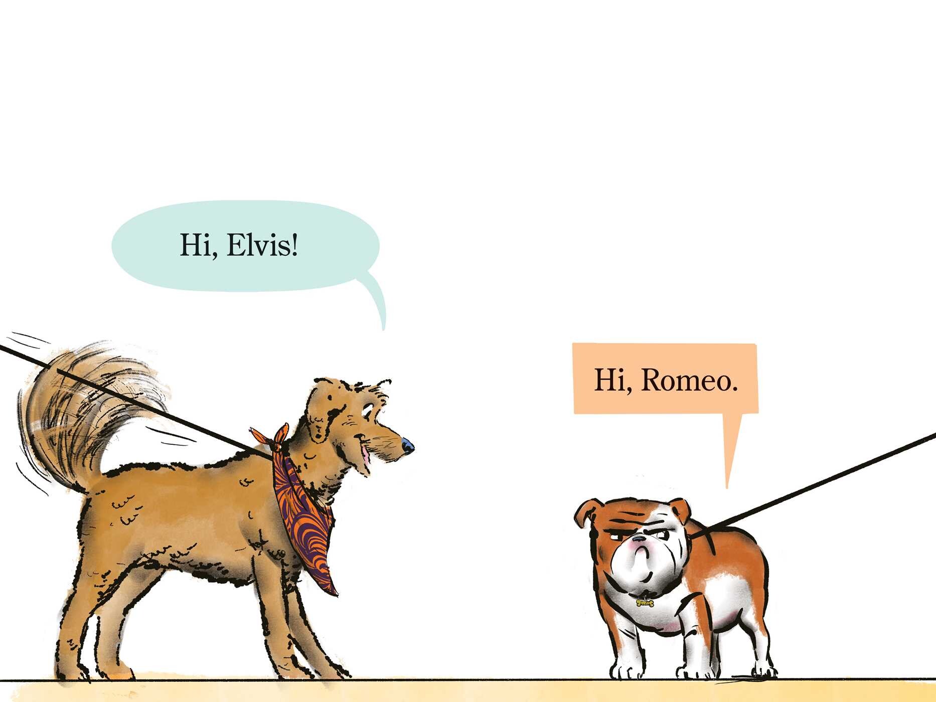 Elvis & Romeo Visit the Vet