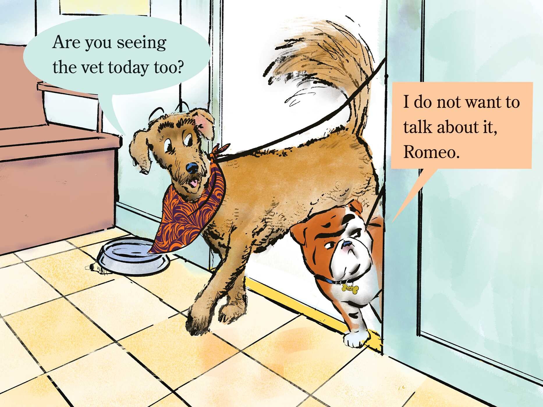 Elvis & Romeo Visit the Vet