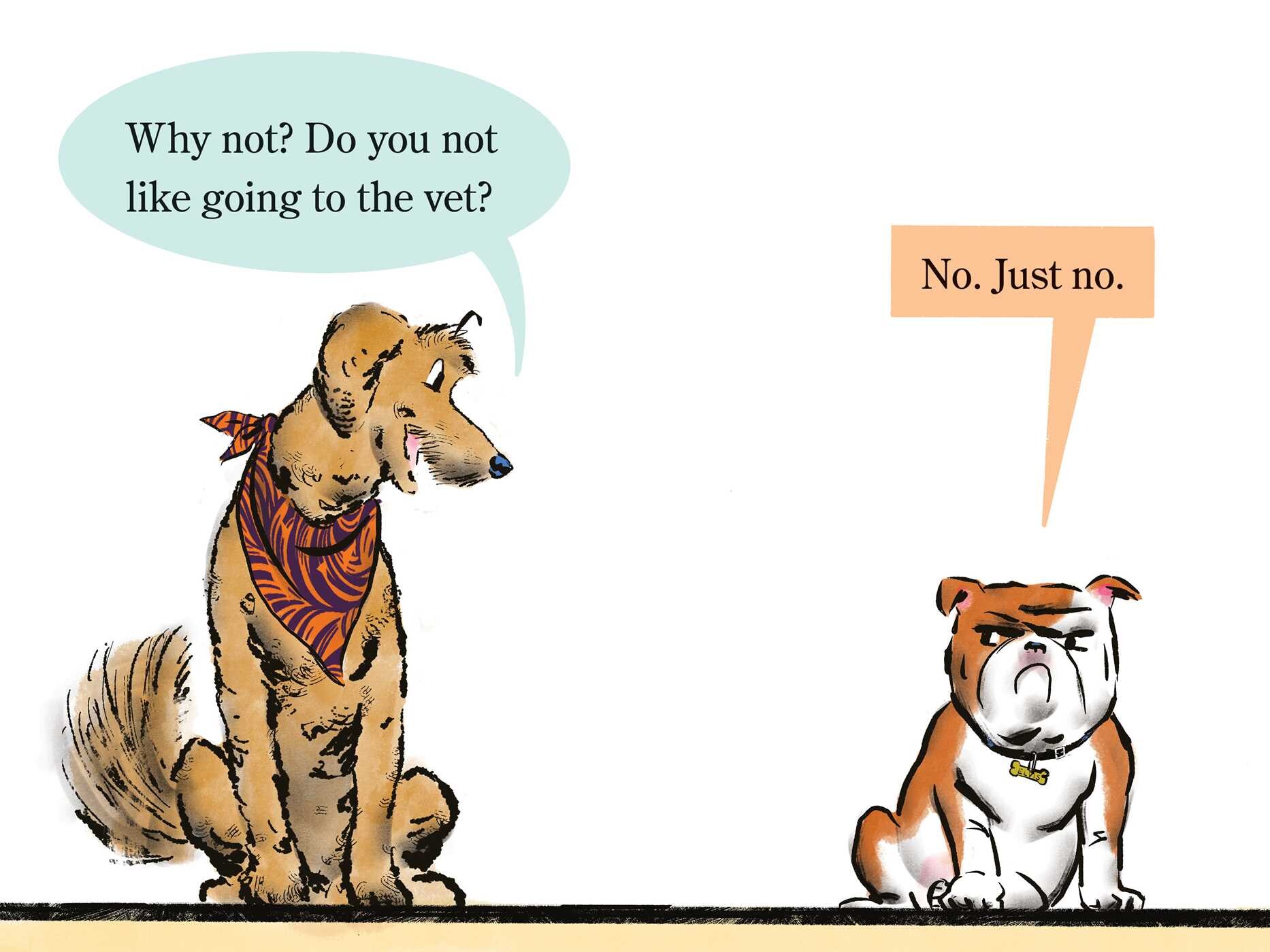 Elvis & Romeo Visit the Vet