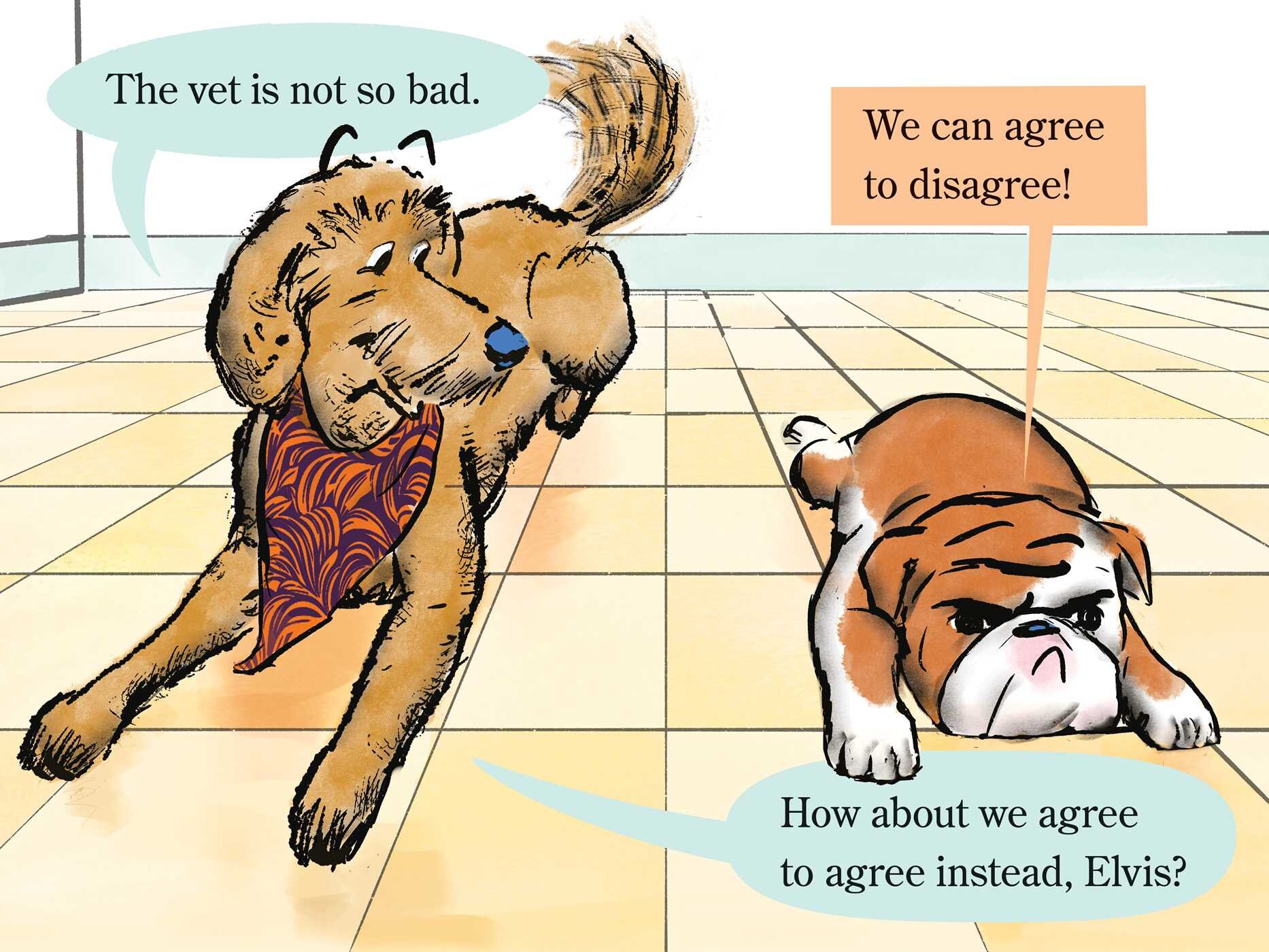 Elvis & Romeo Visit the Vet