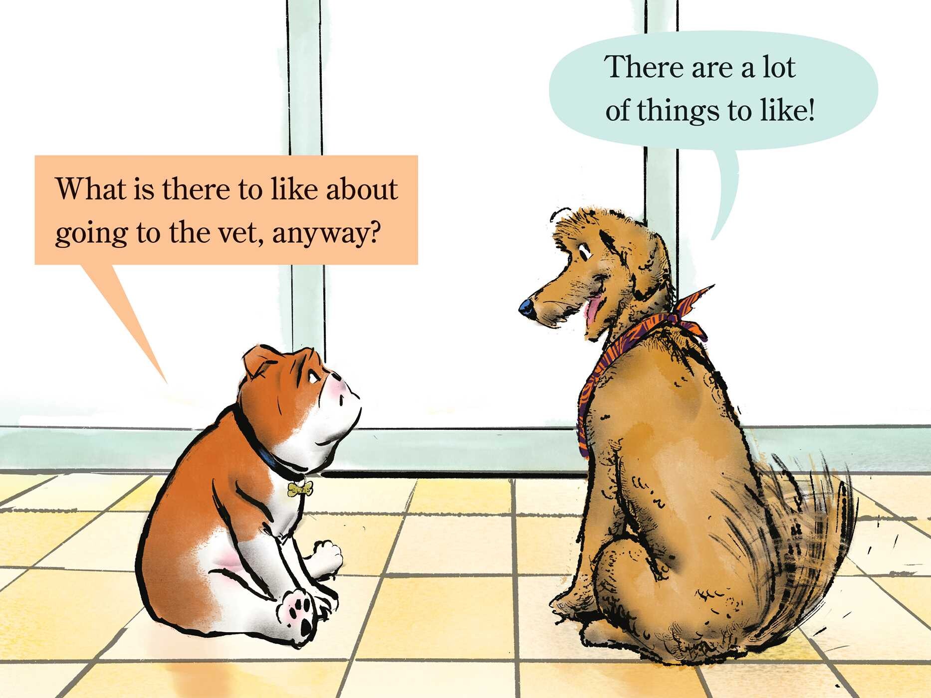 Elvis & Romeo Visit the Vet