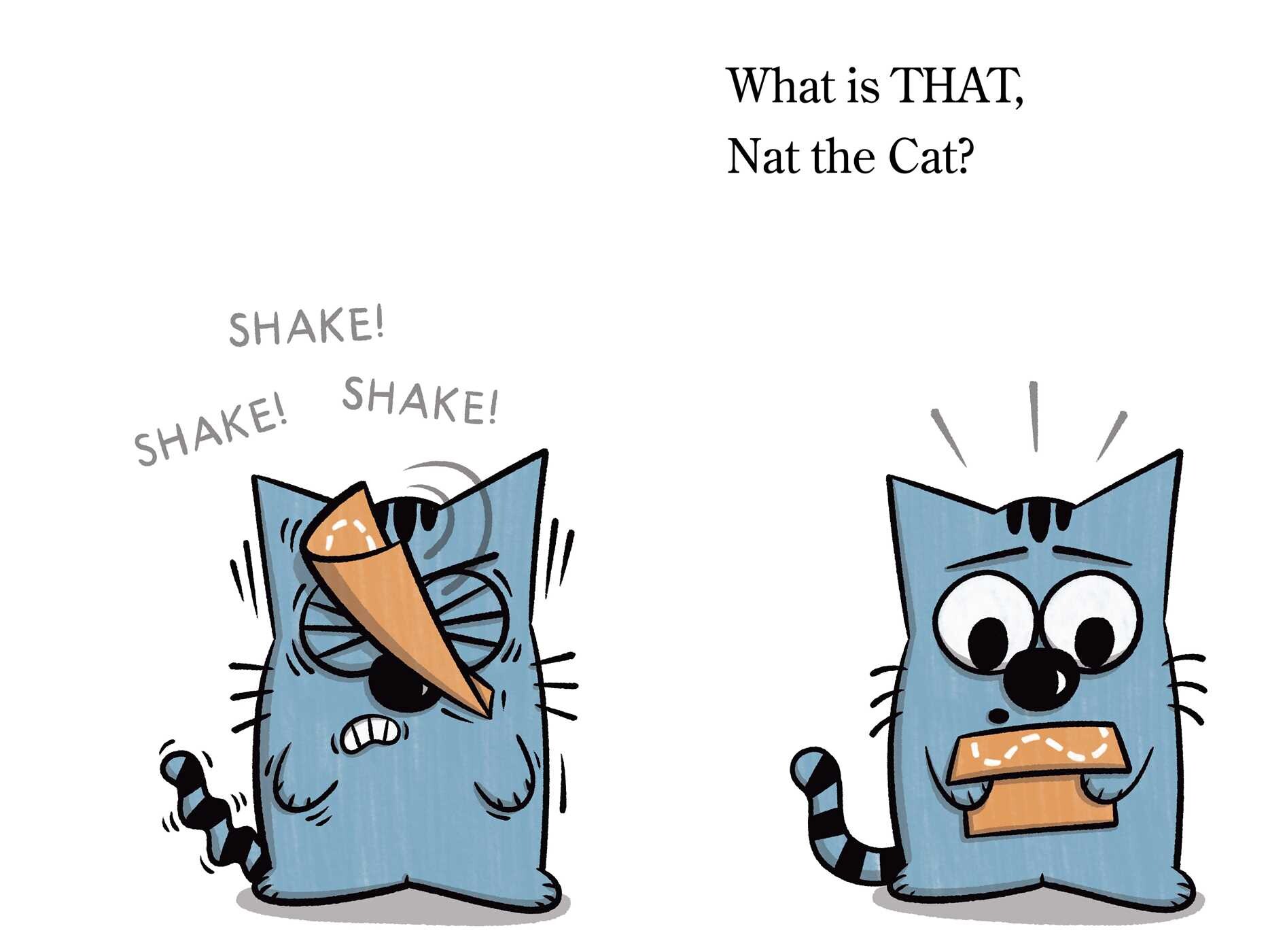 Nat the Cat Finds a Map