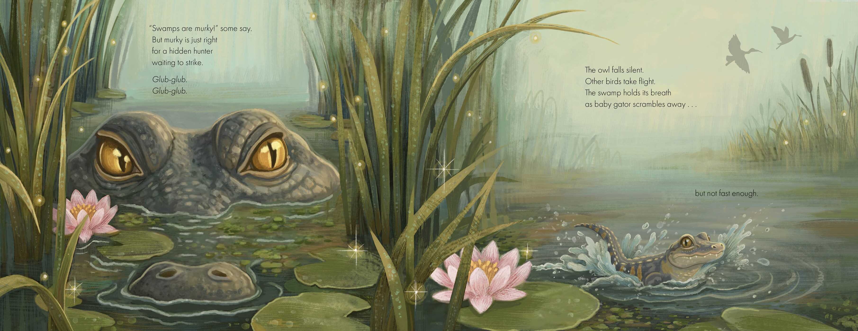 Swamp