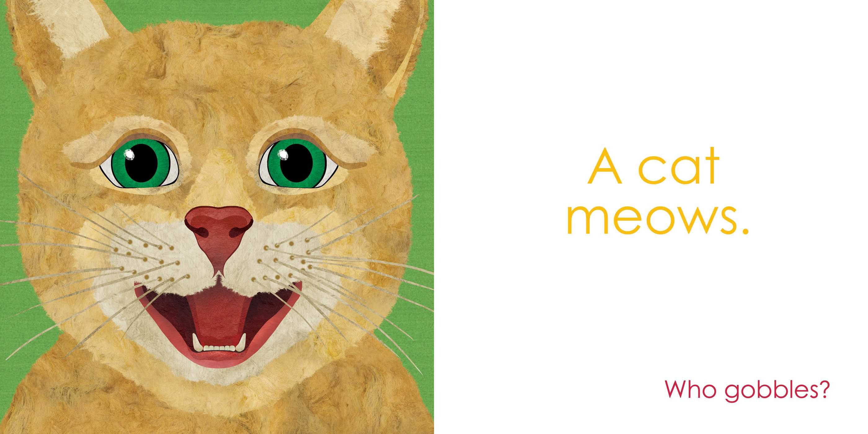Who Meows?