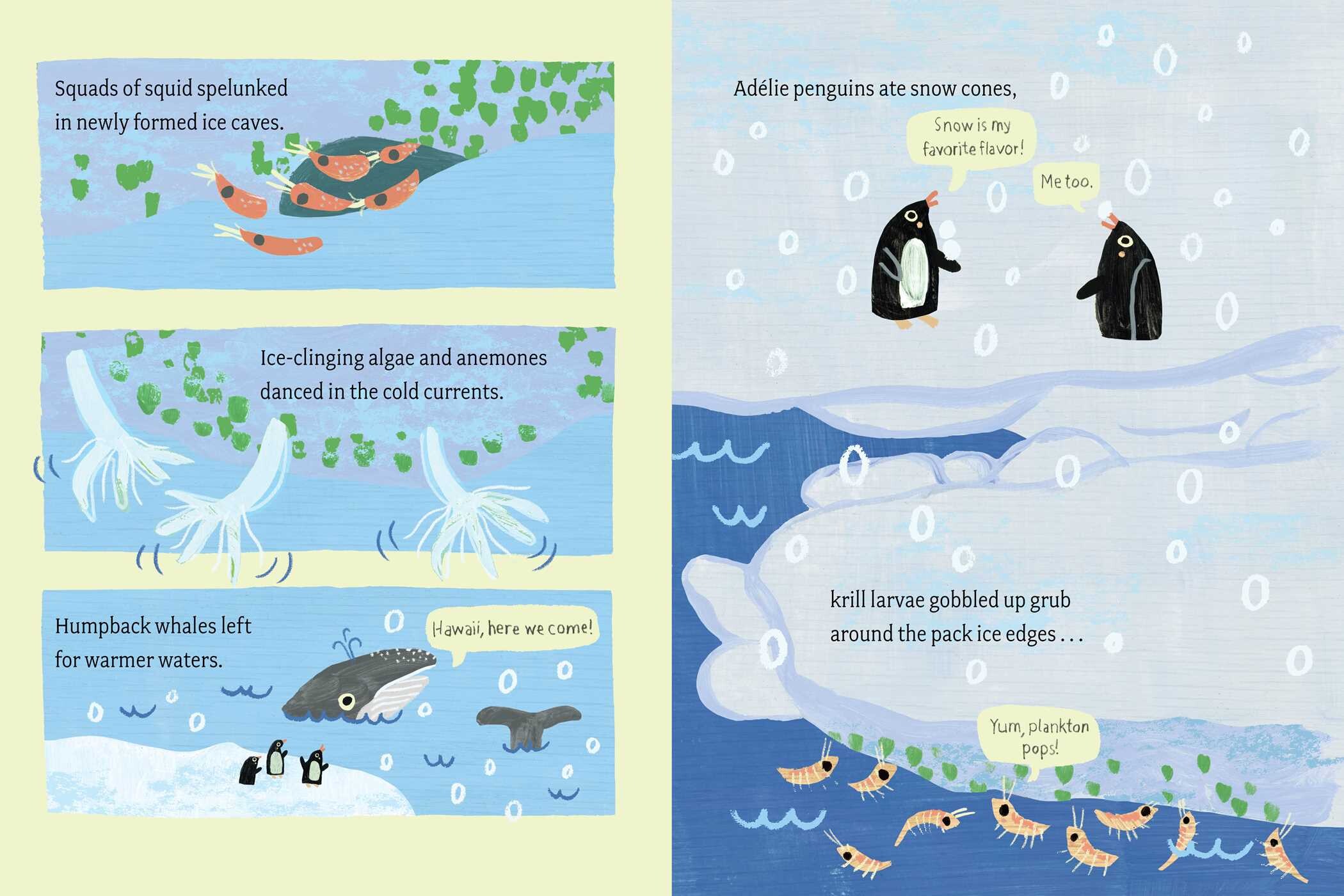 Pack Ice Paradise