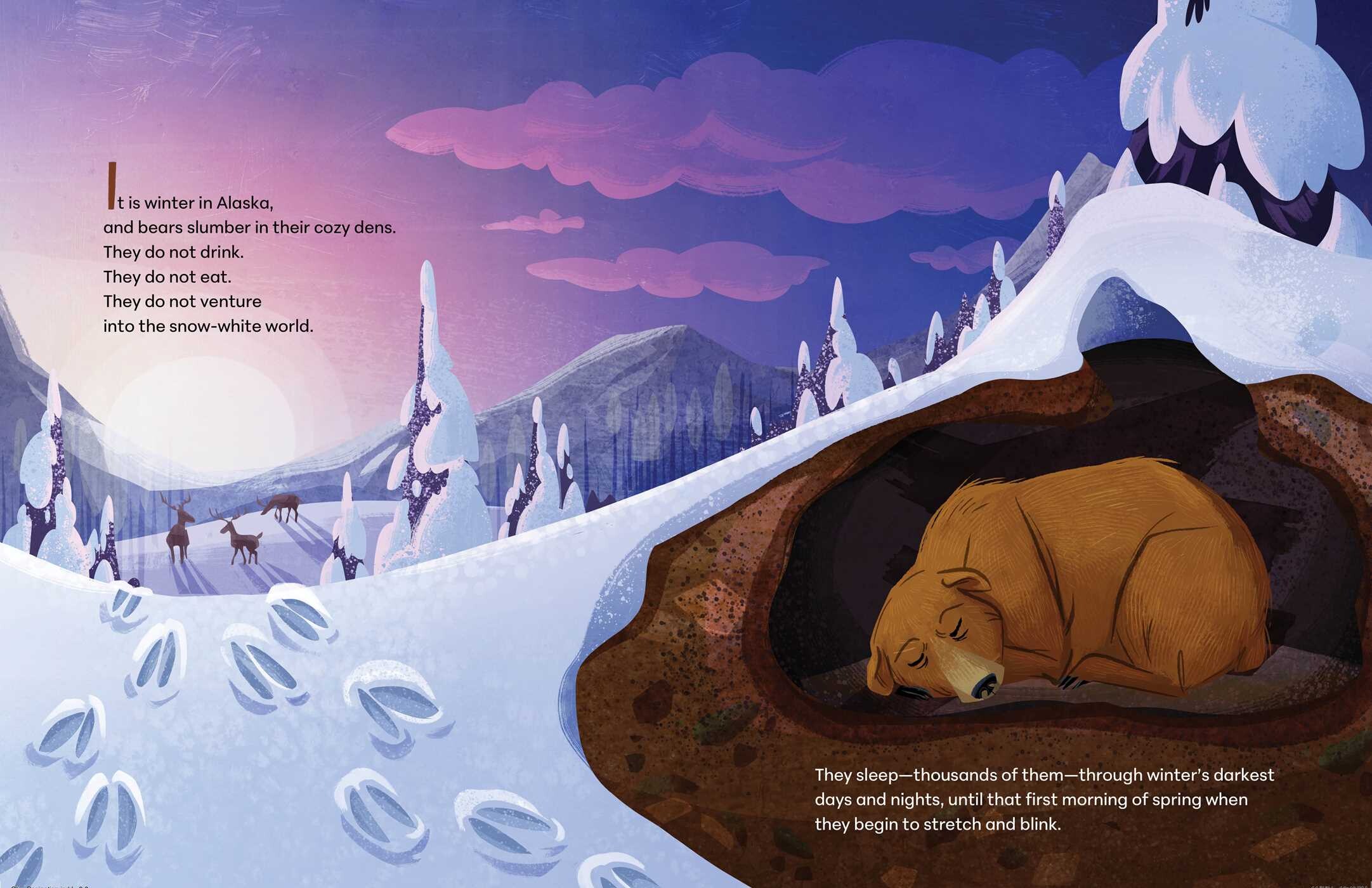 Otis Knows (How to Be a Bear)