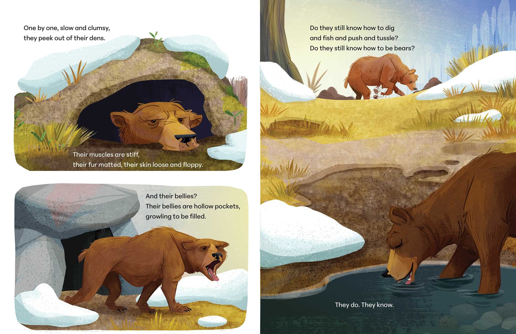 Otis Knows (How to Be a Bear)