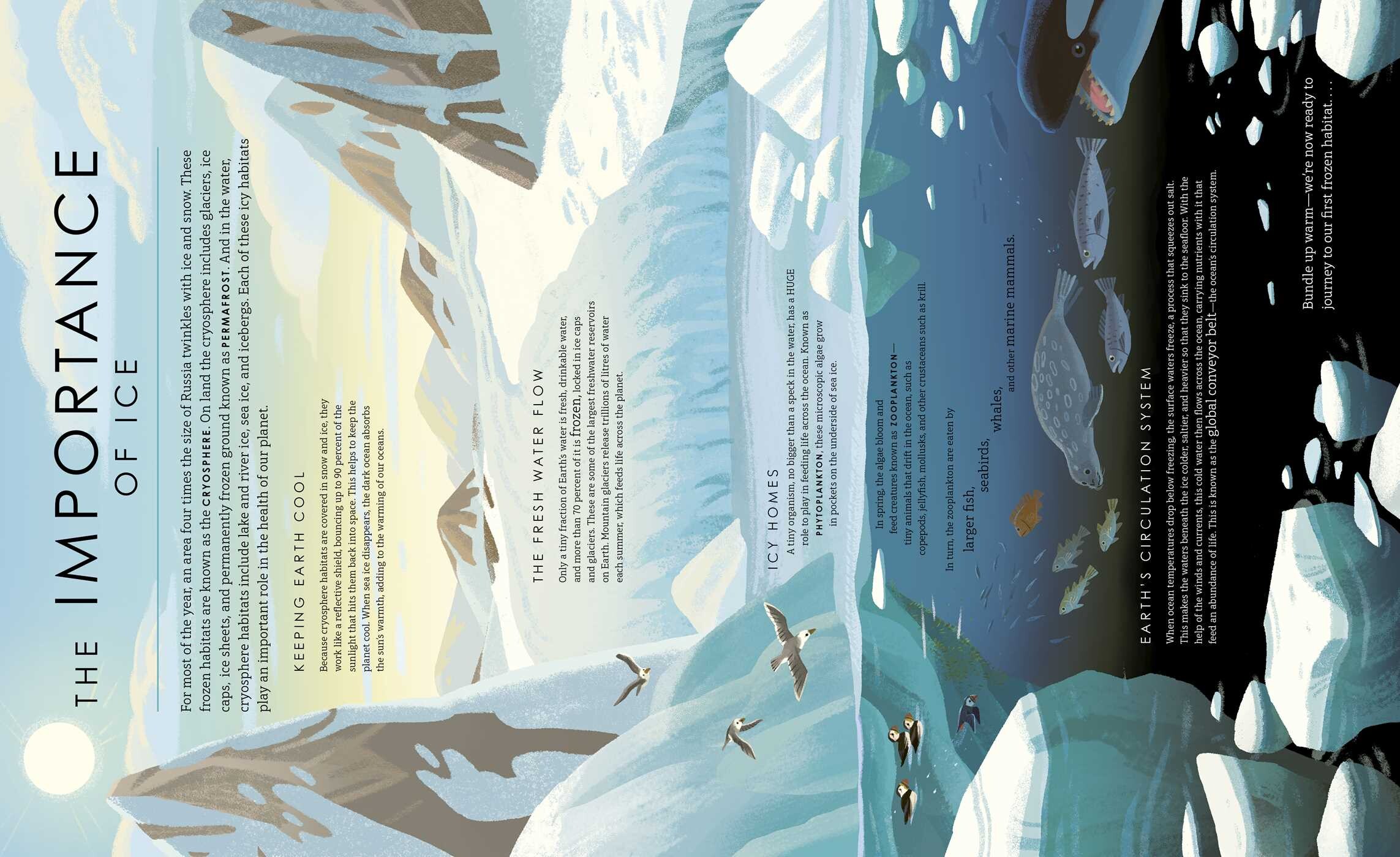 Our Frozen Planet