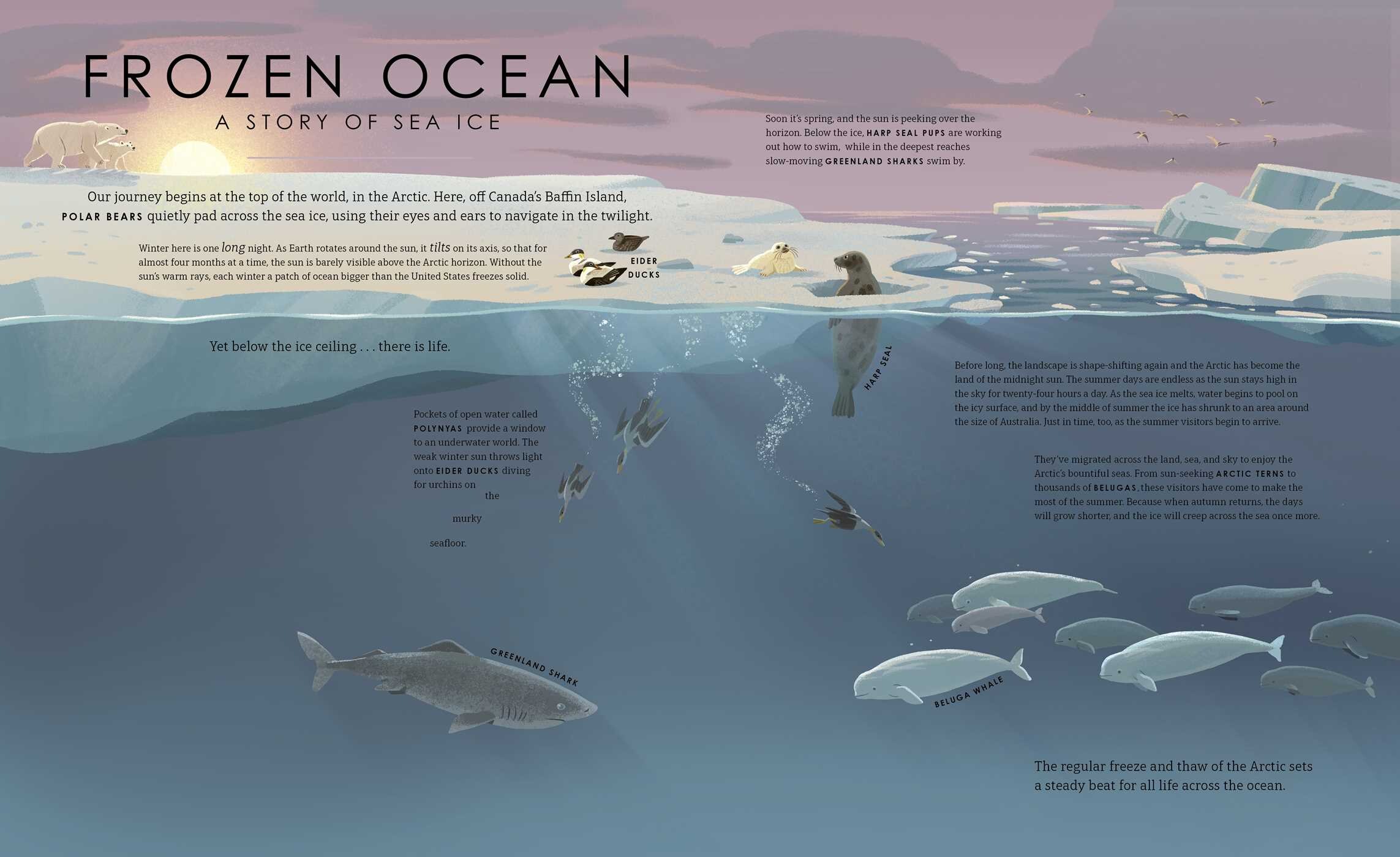 Our Frozen Planet