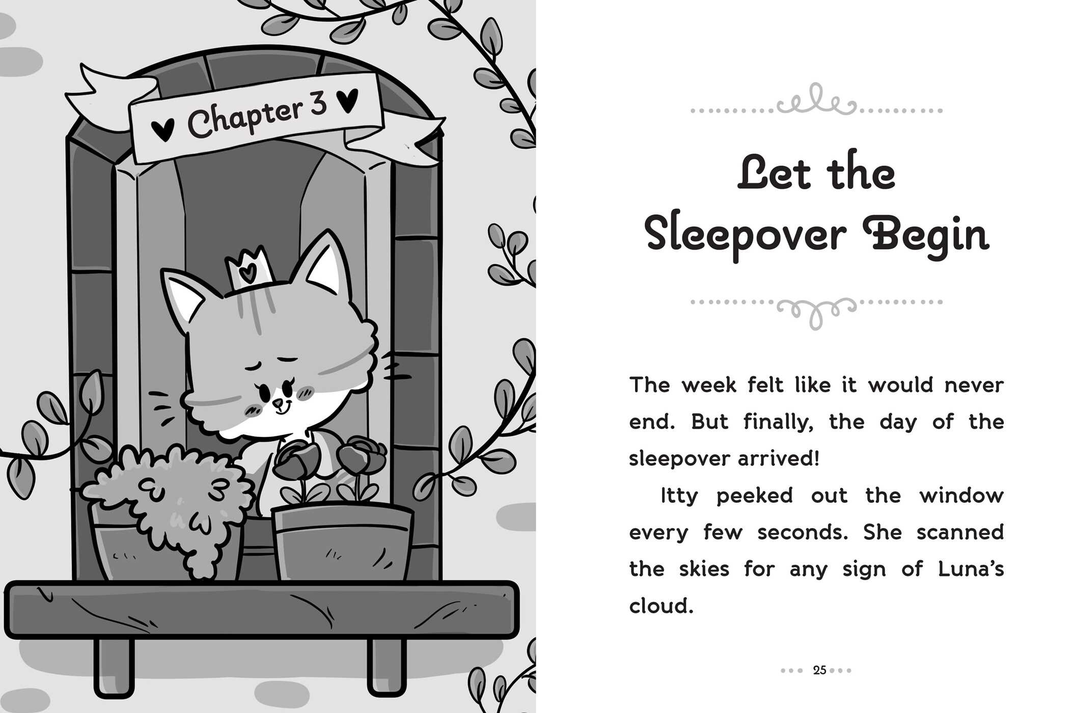 Sleepover Surprise