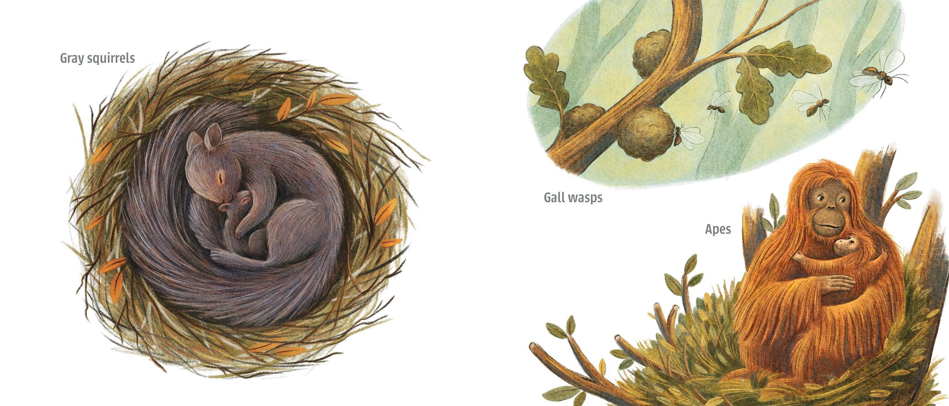 Who Nests Here?