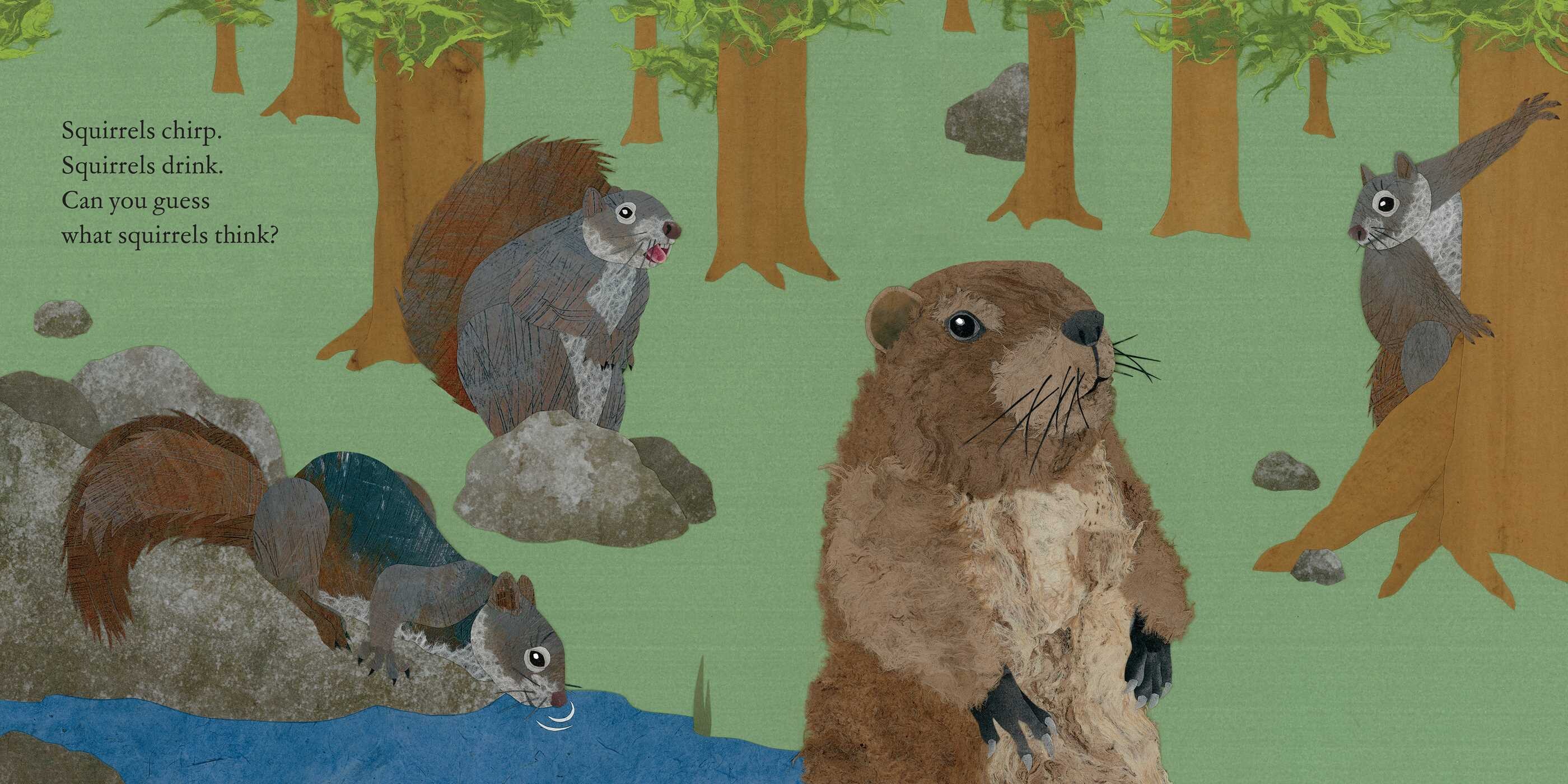 Squirrels Leap, Squirrels Sleep