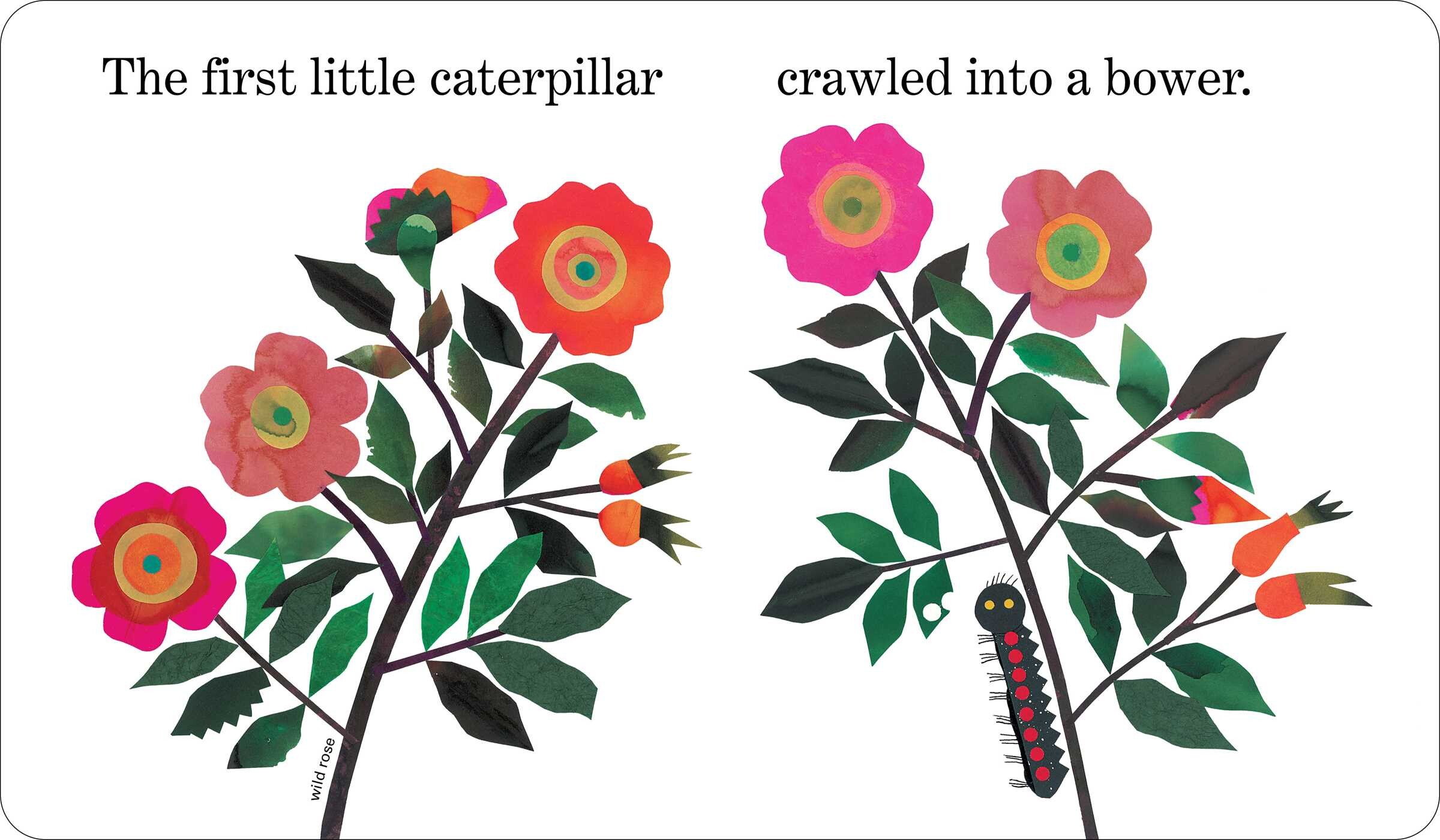 Ten Little Caterpillars