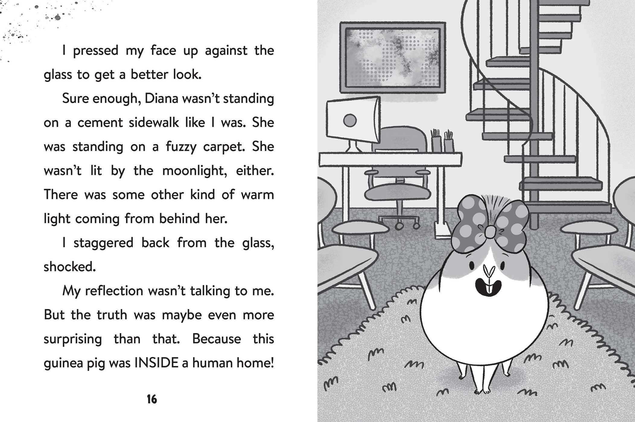 In the Pet House