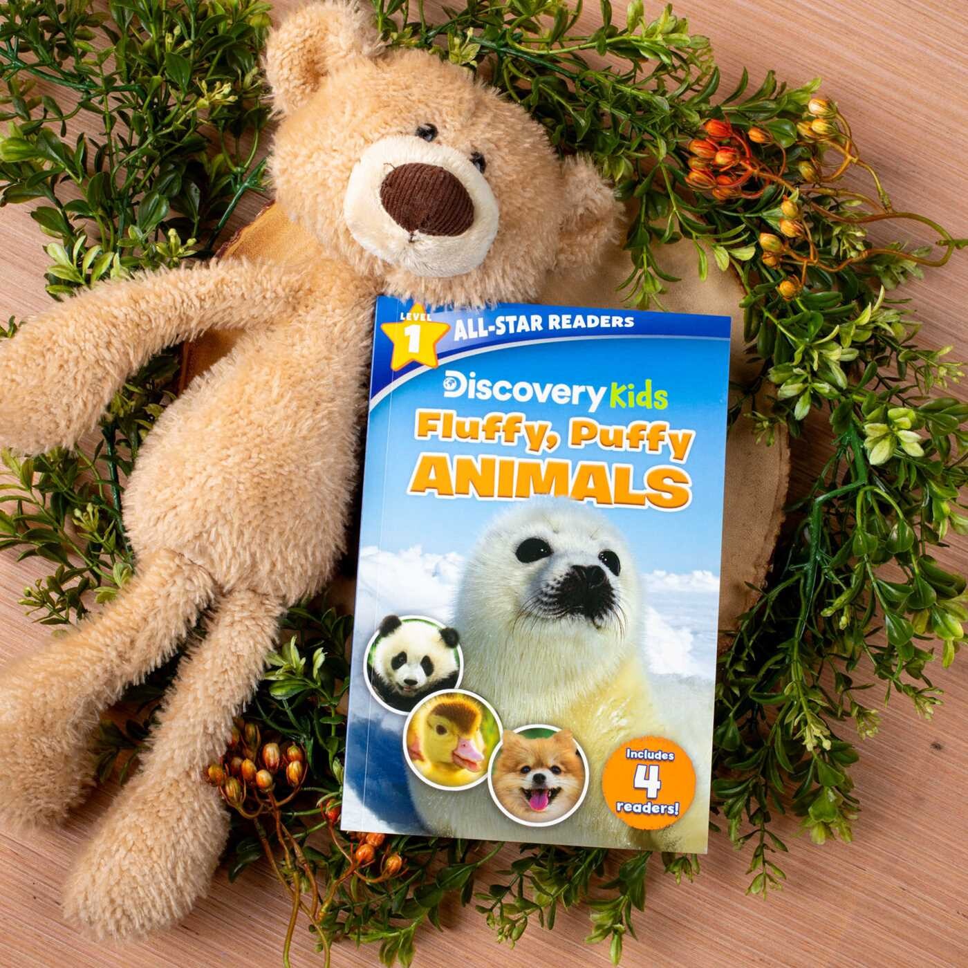 Discovery Kids All-Star Reader: Fluffy, Puffy Animals! Level 1