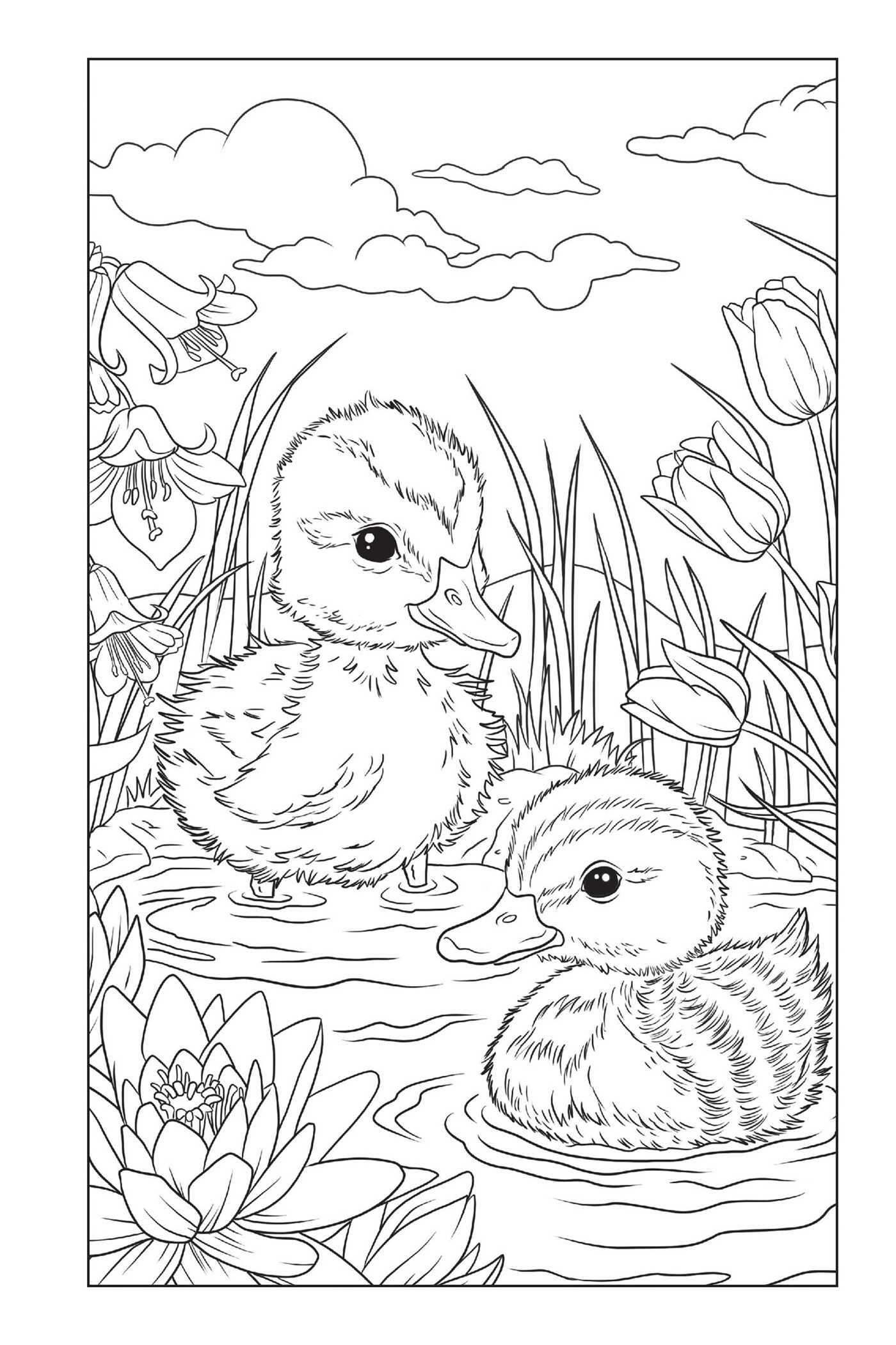 Blossoms and Blooms Coloring