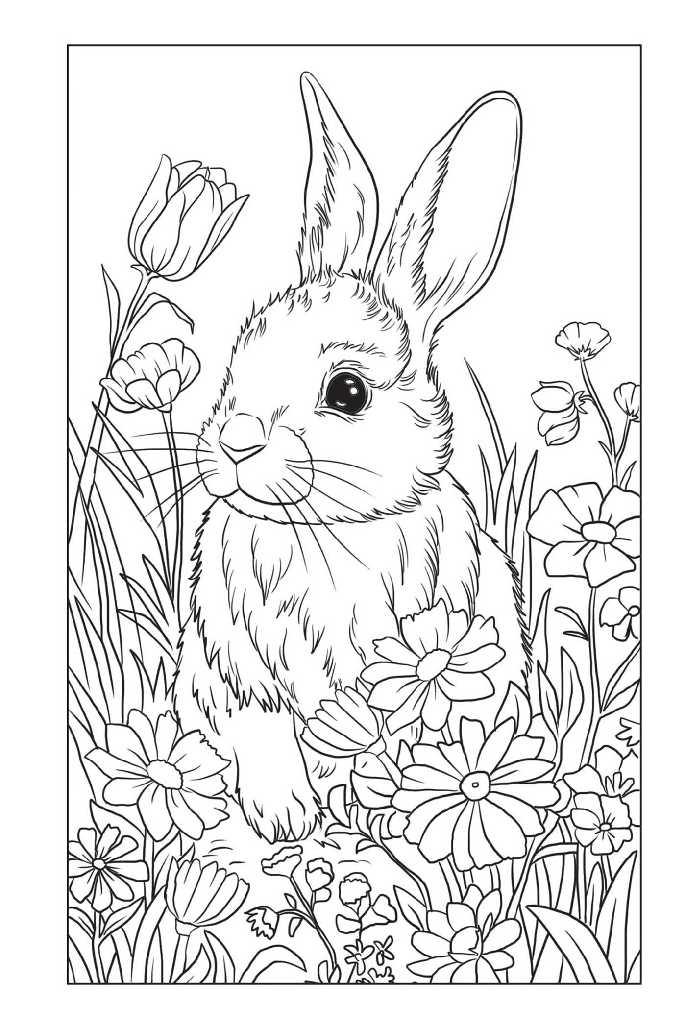 Blossoms and Blooms Coloring