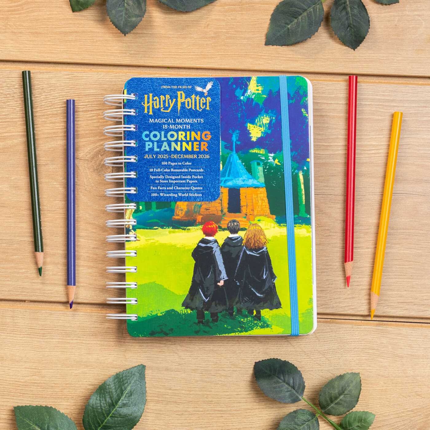 2026 Harry Potter Magical Moments 18-Month Coloring Planner