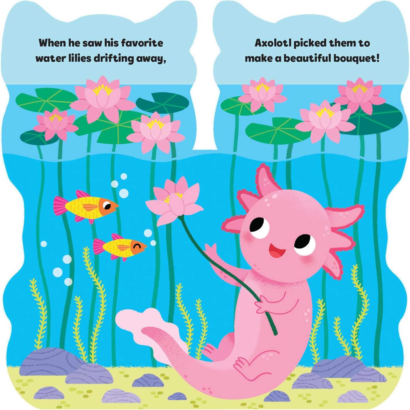 Little Axolotl