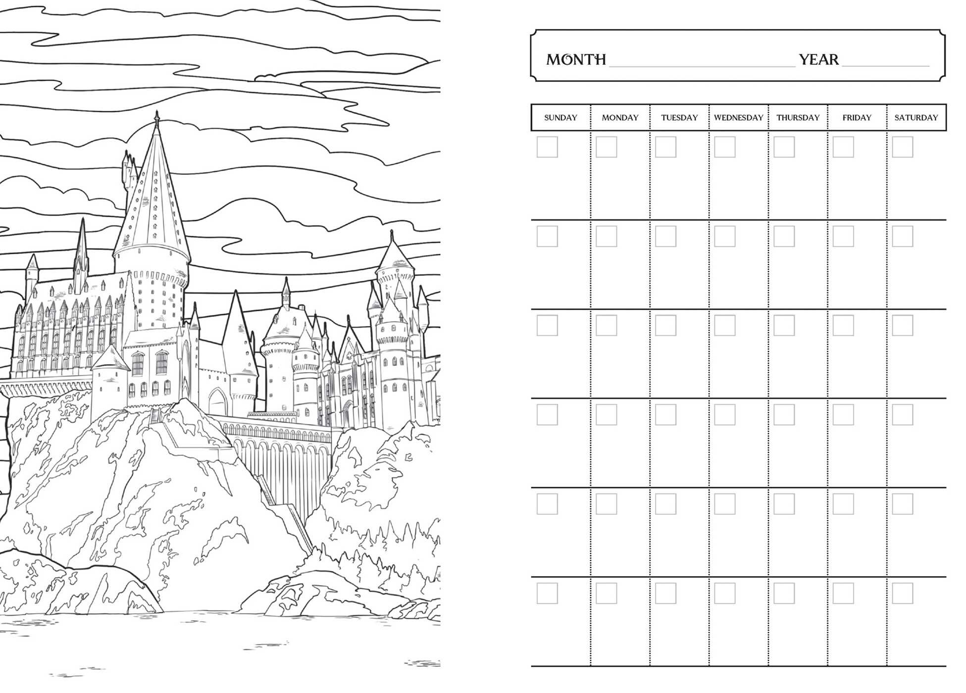 Harry Potter 12-Month Undated Coloring Planner