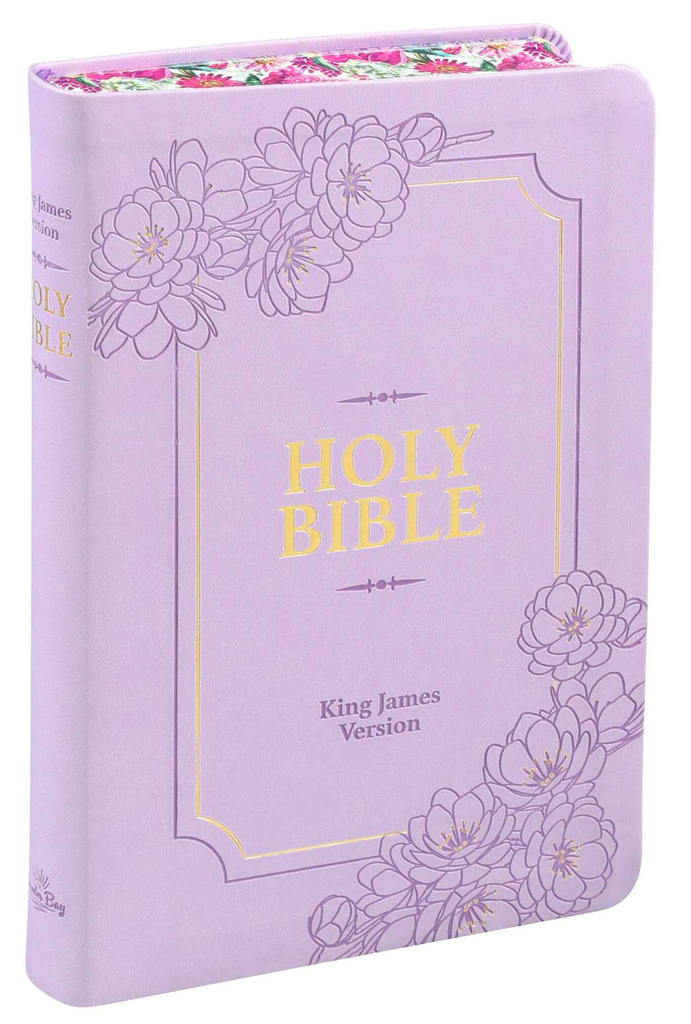 Holy Bible (with Tabs)