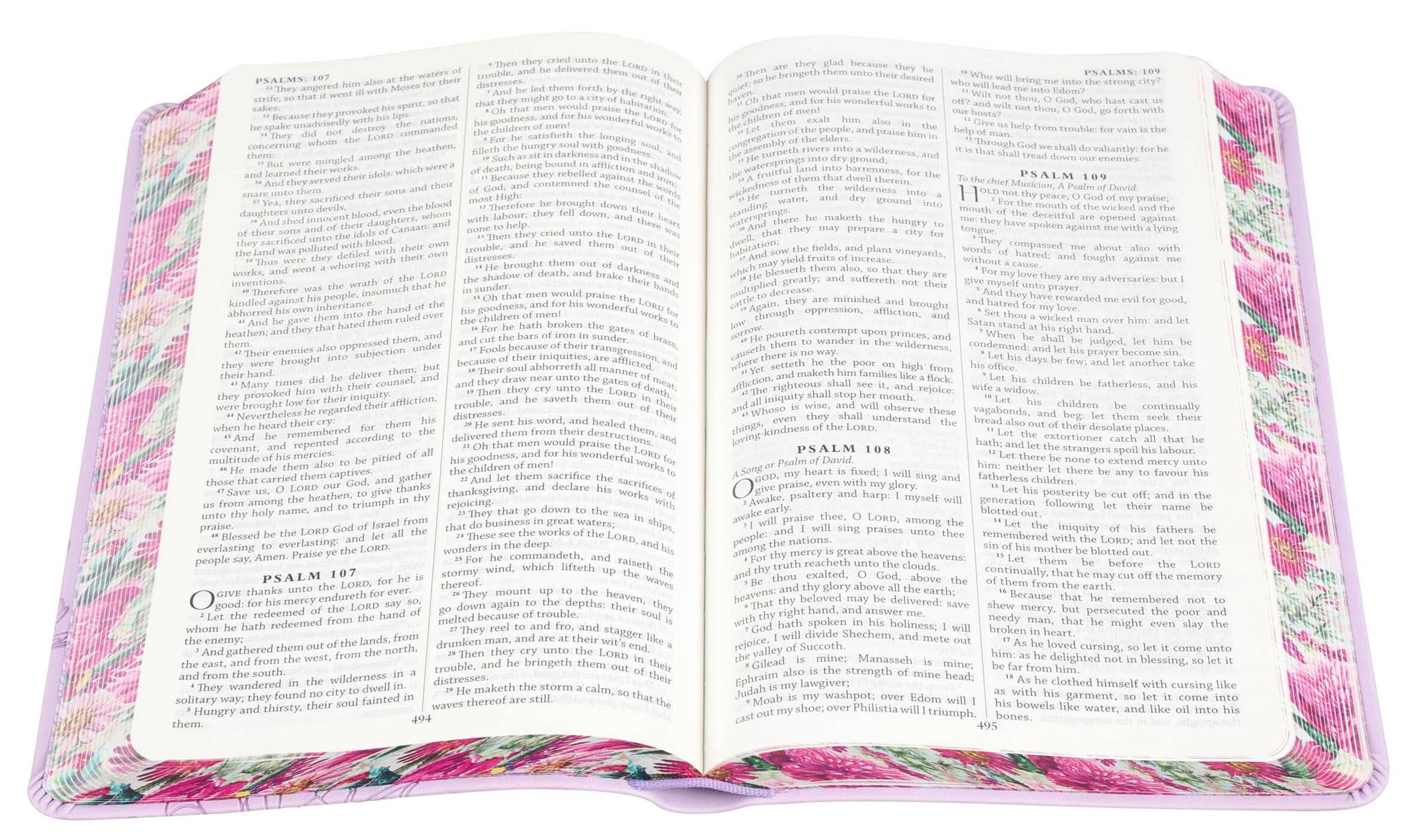 Holy Bible (with Tabs)