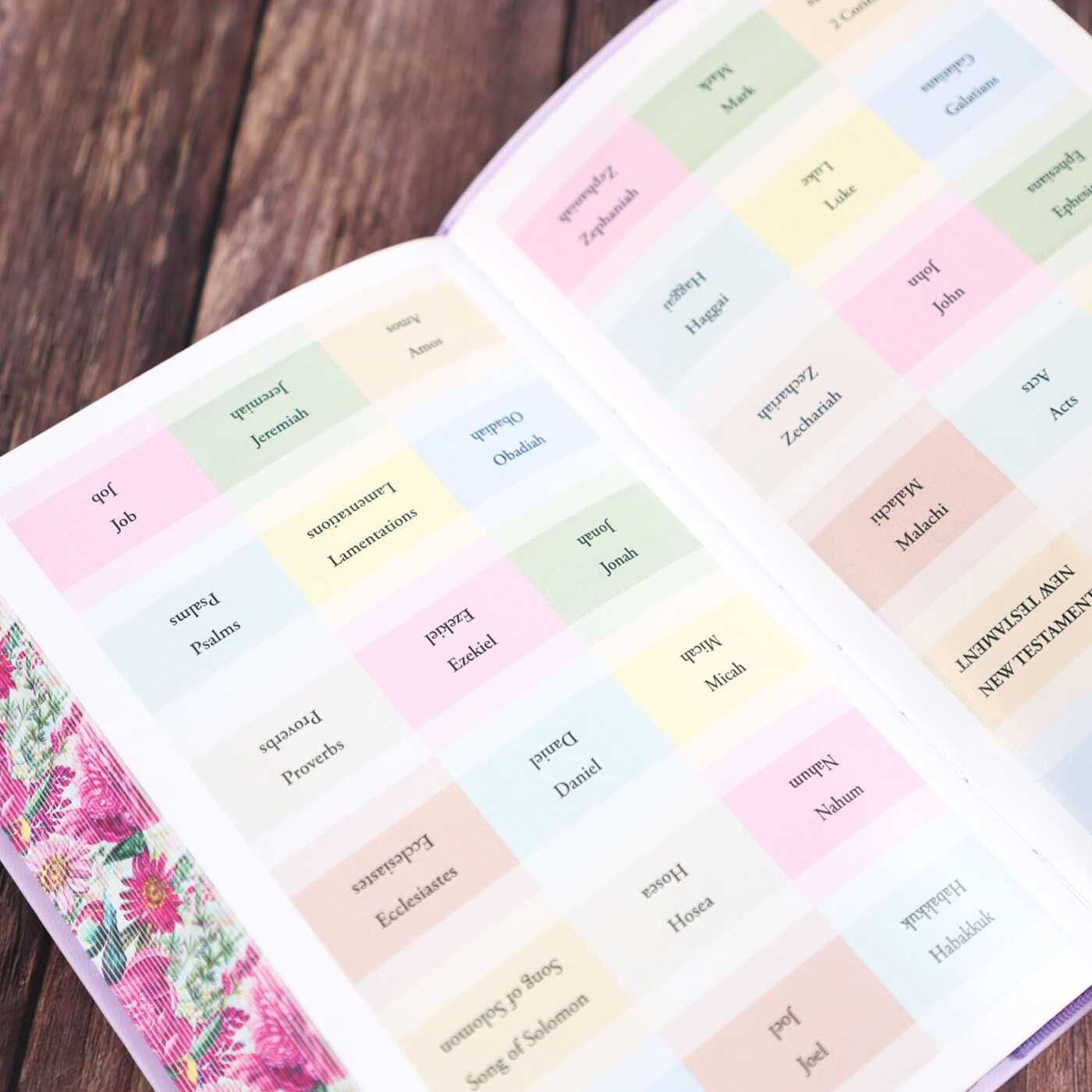 Holy Bible (with Tabs)